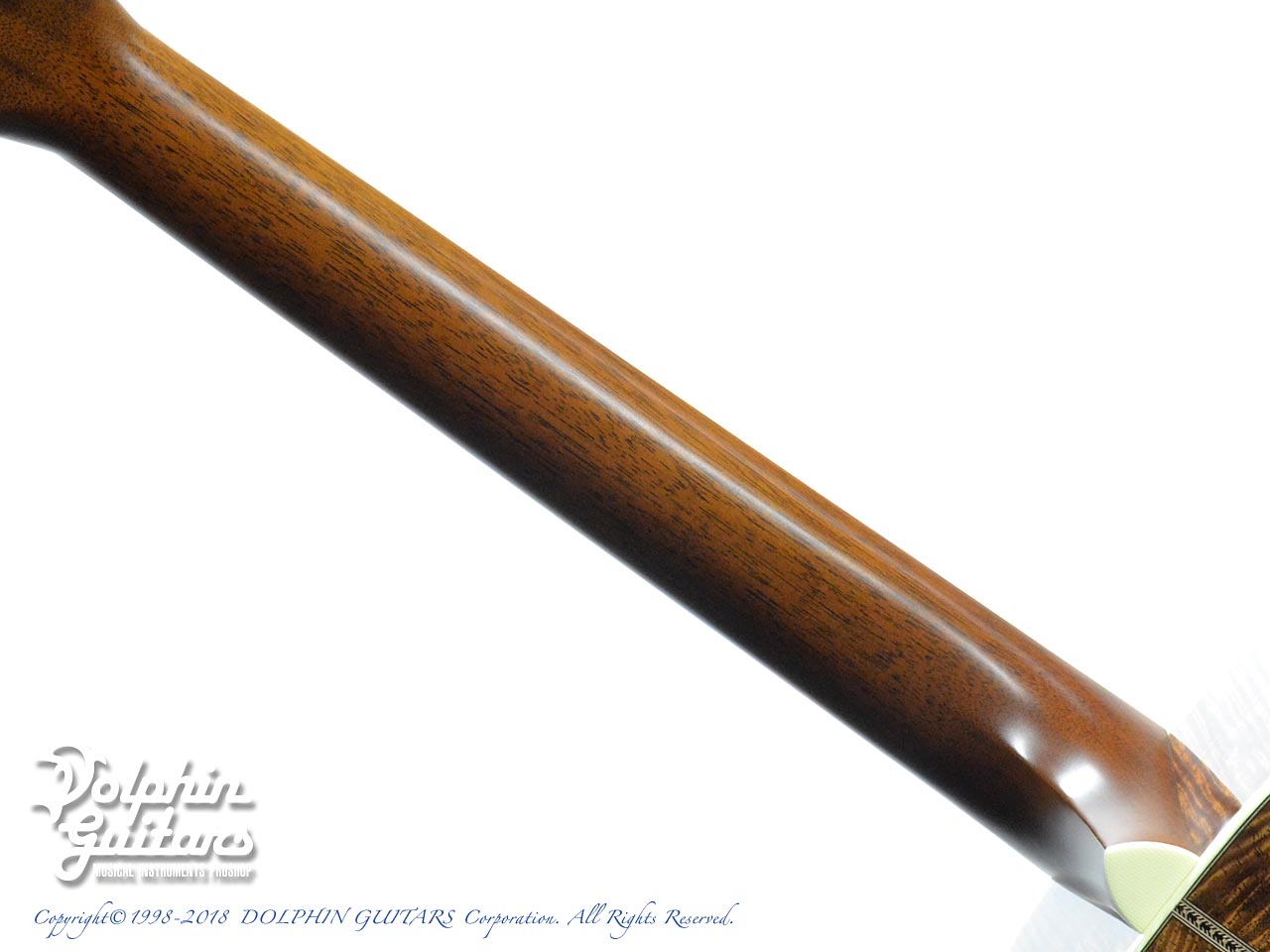 SANTA CRUZ H Model Koa (All Hawaiian Koawood)|ドルフィンギターズ