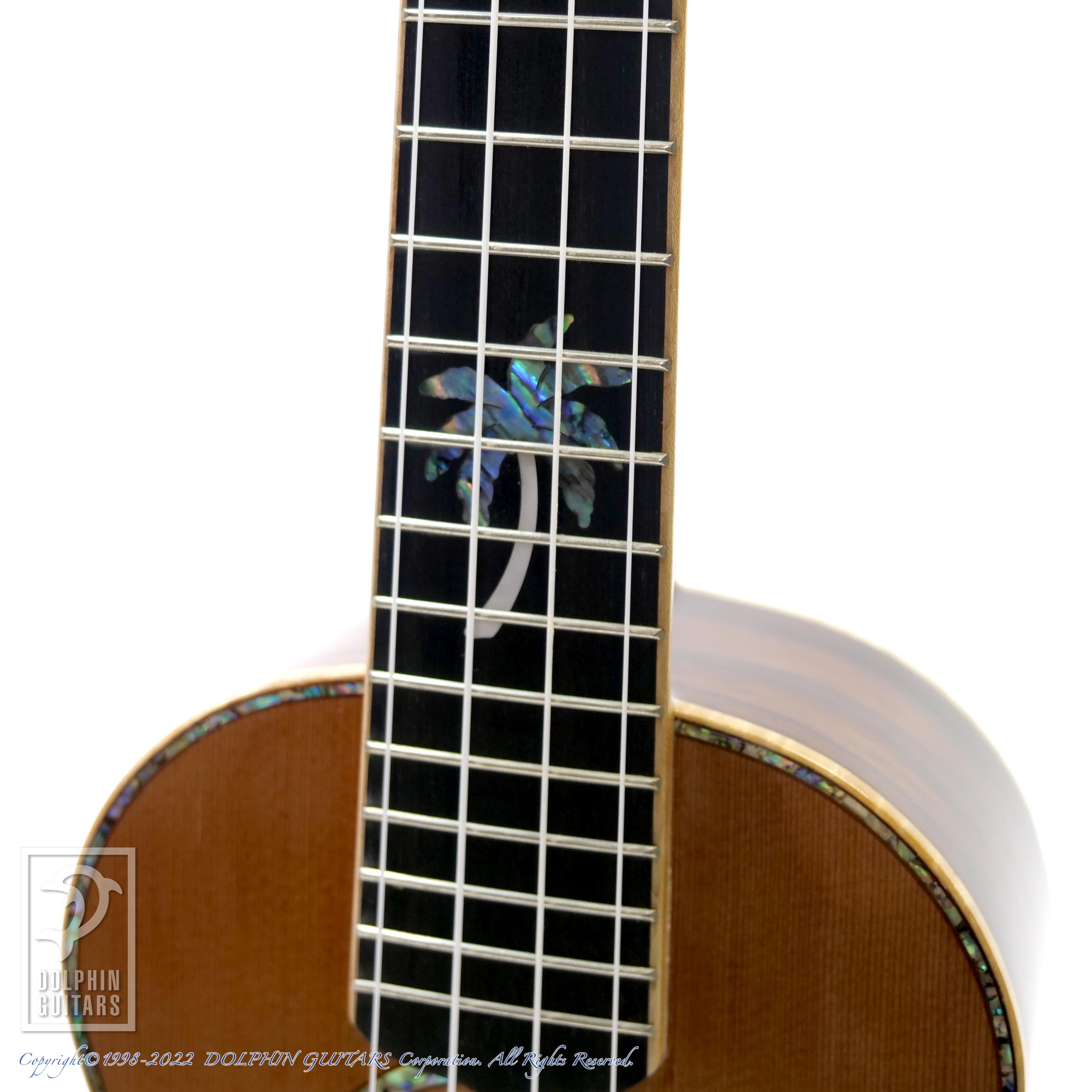 Maestro Guitars UC-CO|ドルフィンギターズ
