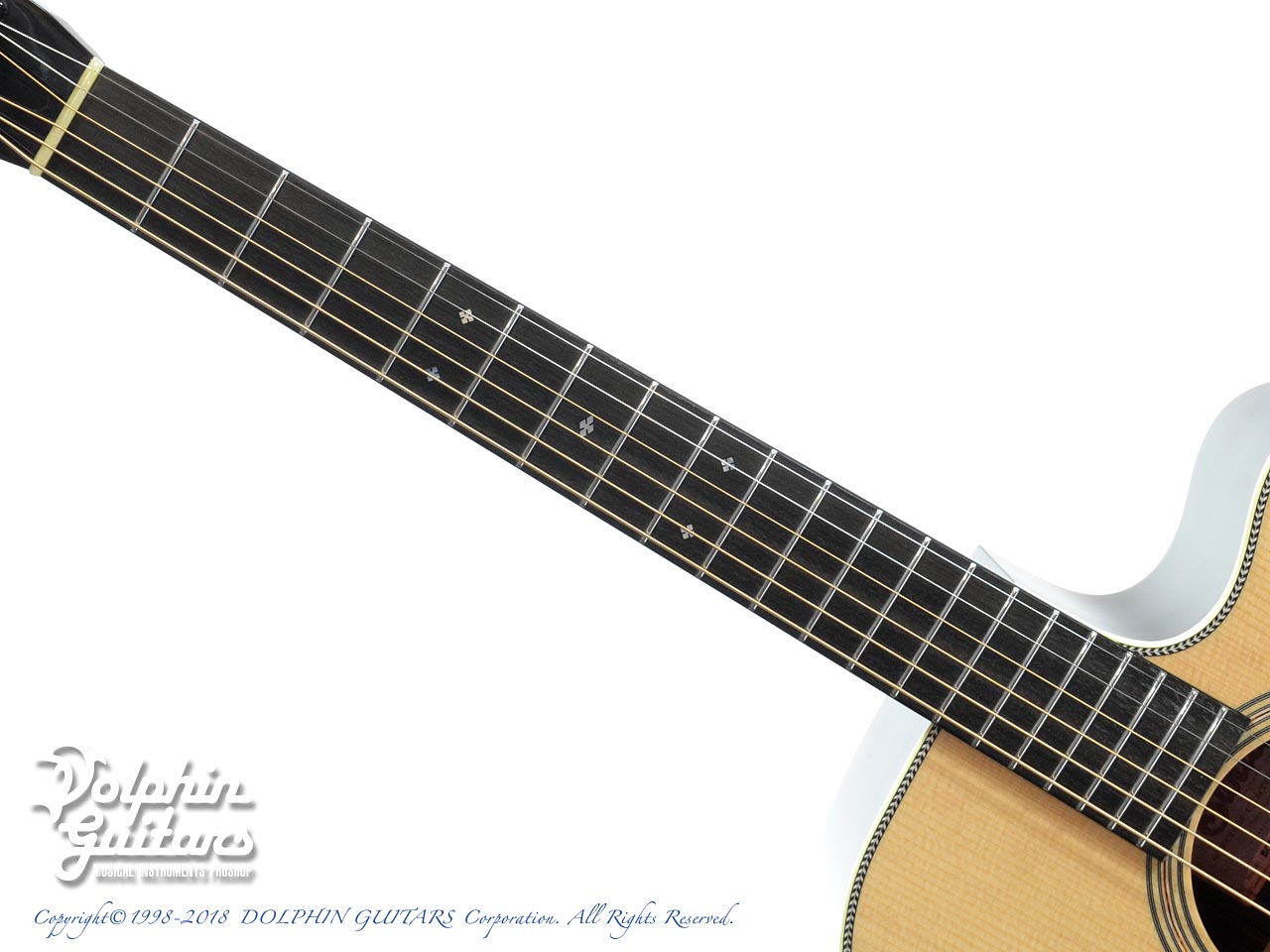 SWITCH SCD-2HC (Sitka Spruce & Indian Rosewood)|ドルフィンギターズ