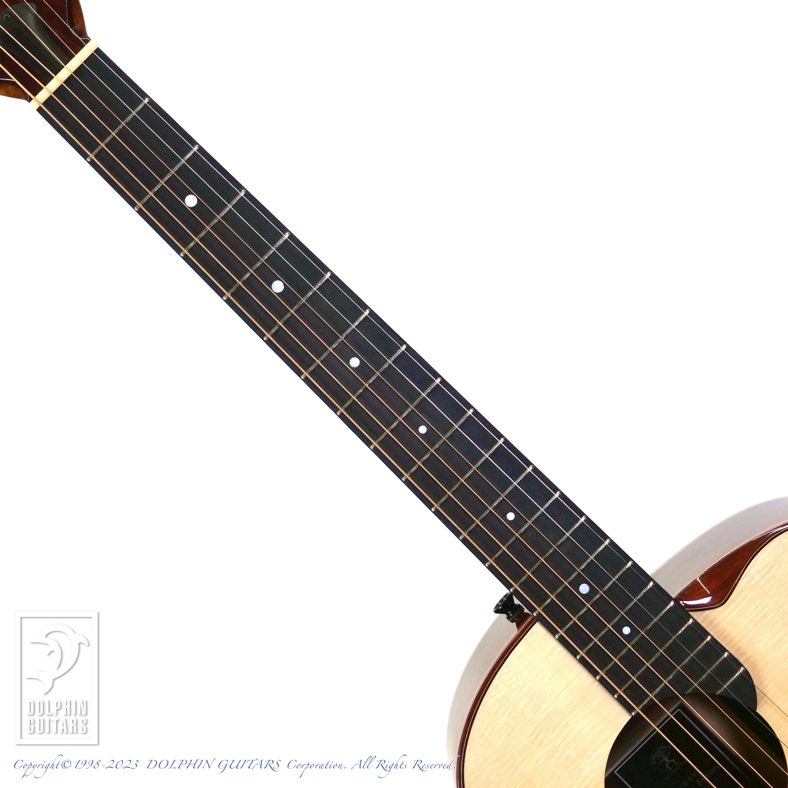 aNueNue LS800 Designed by Sugita Kenji|ドルフィンギターズ