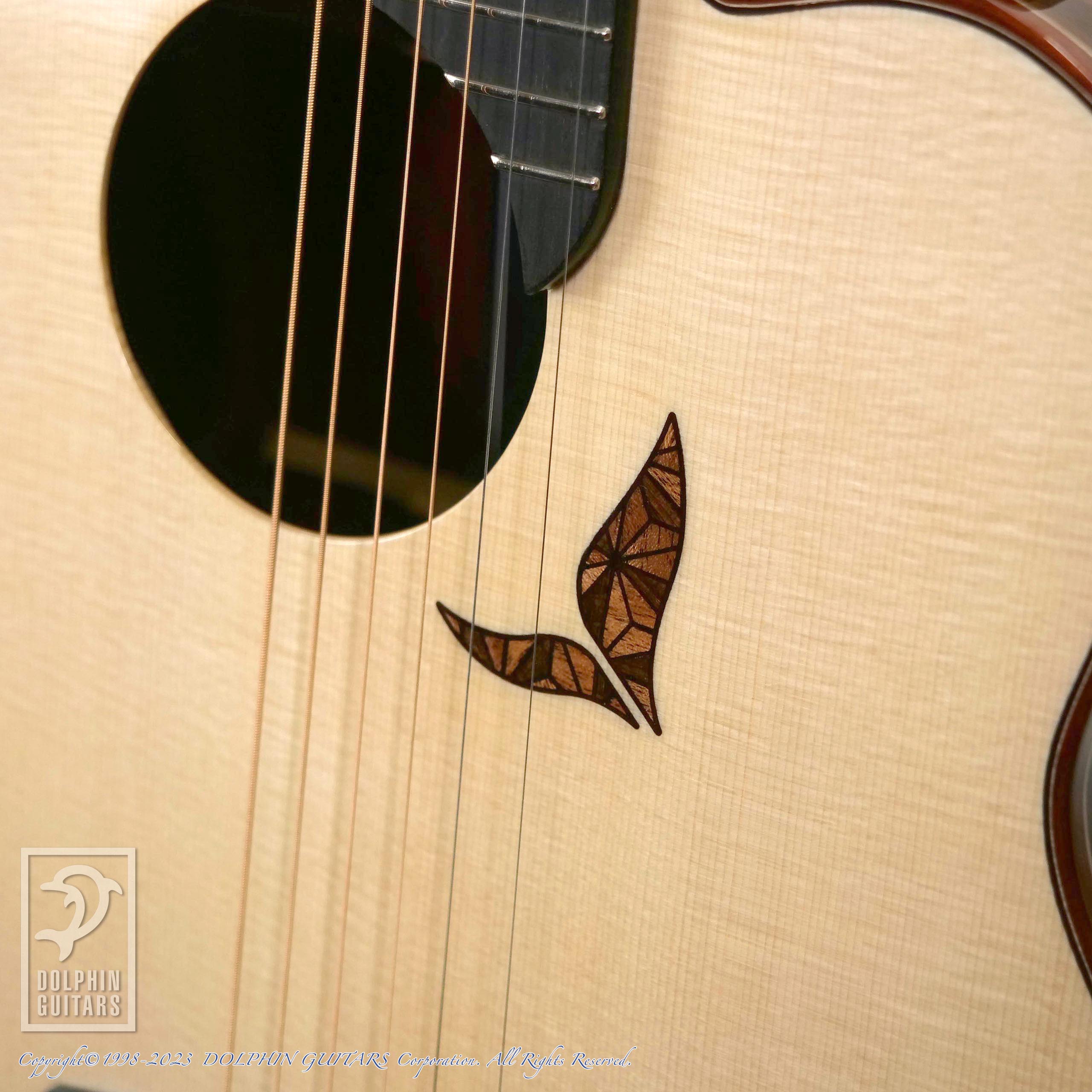 aNueNue LS800 Designed by Sugita Kenji|ドルフィンギターズ