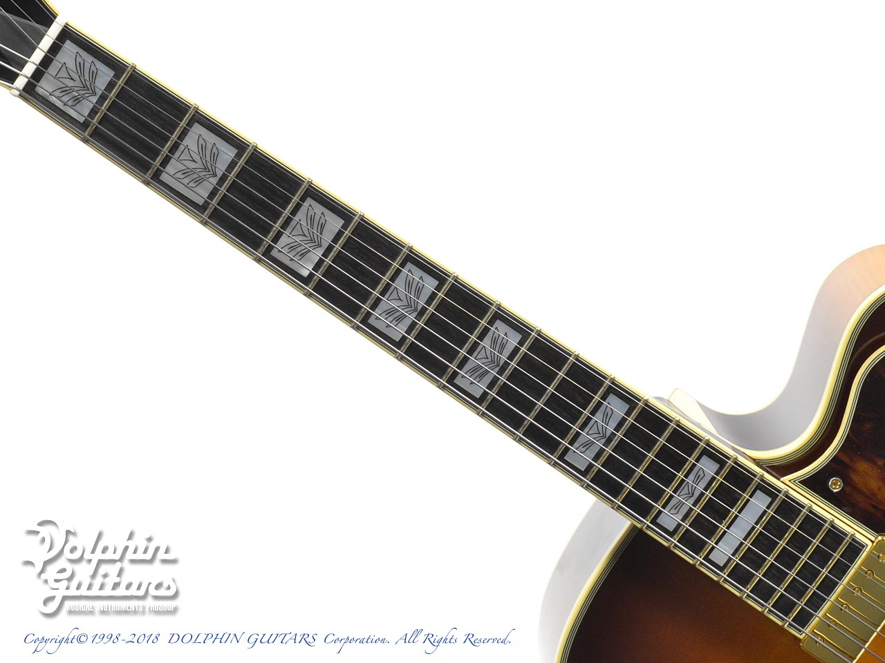 LEVIN 18DLX (Honey Burst)|ドルフィンギターズ