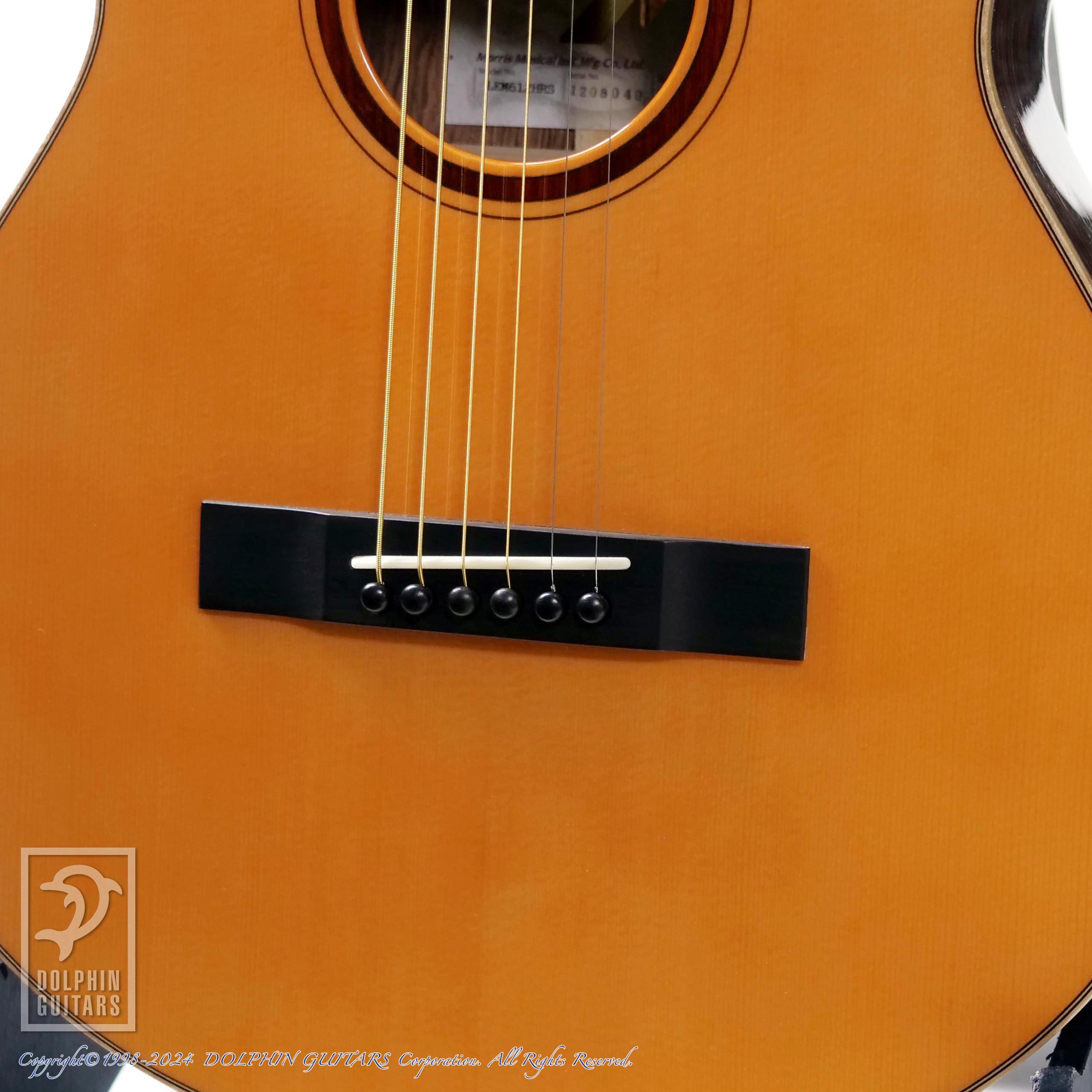 K.Country by Morris LEM-612 HRS|ドルフィンギターズ