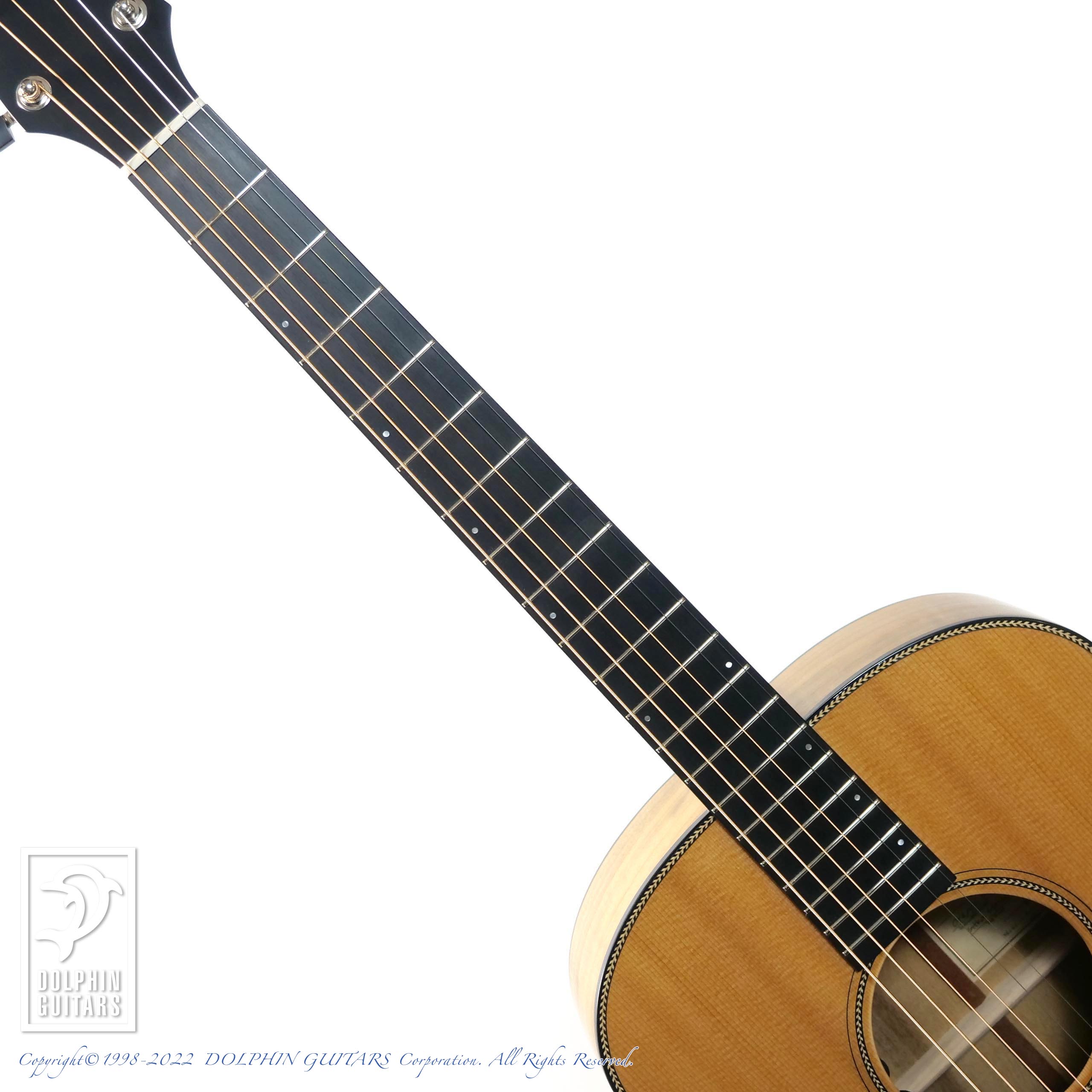 Breedlove Oregon C20/SMYe|ドルフィンギターズ