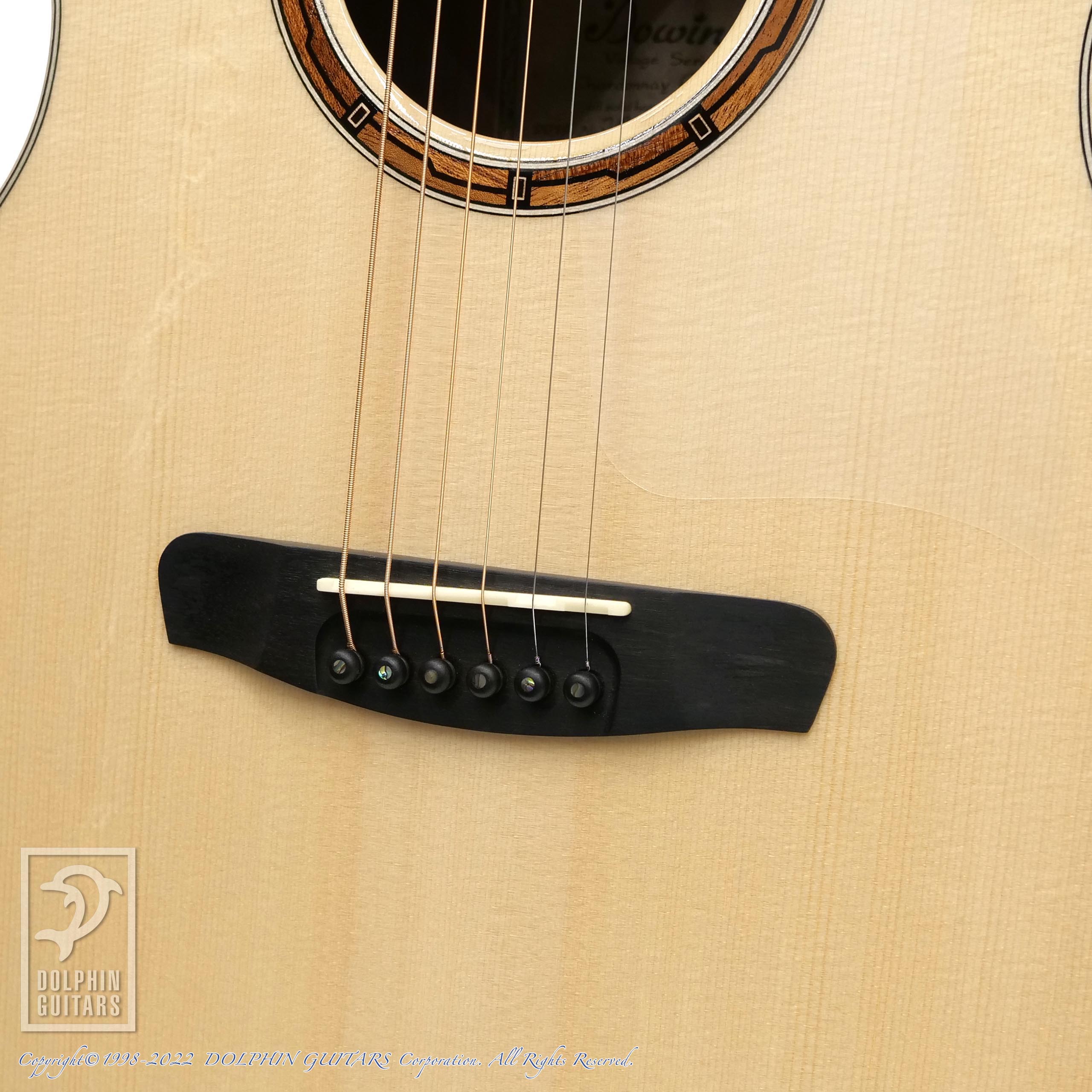 Dowina CHARD-GAC-DS|ドルフィンギターズ