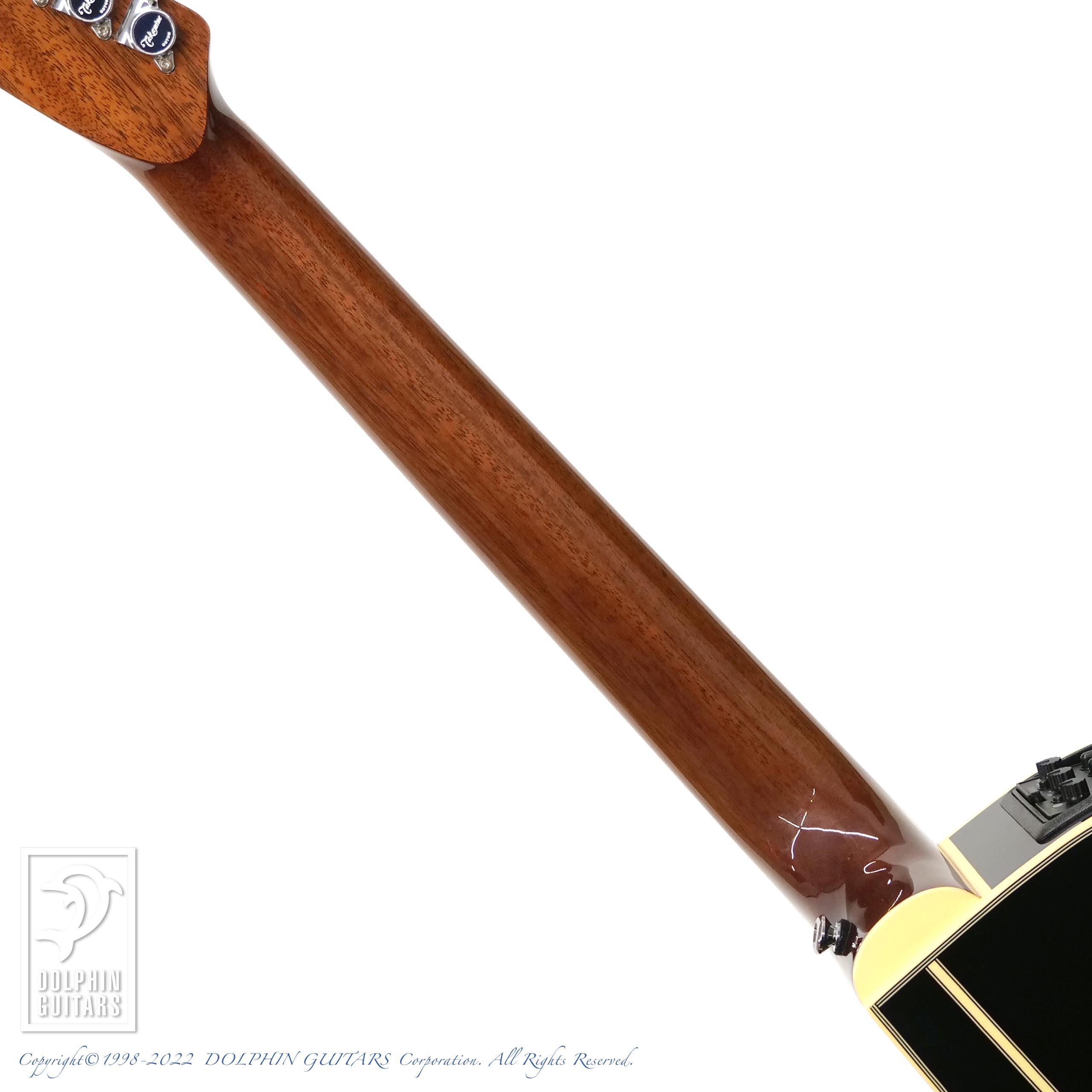 TAKAMINE TDP500-6 BL|ドルフィンギターズ