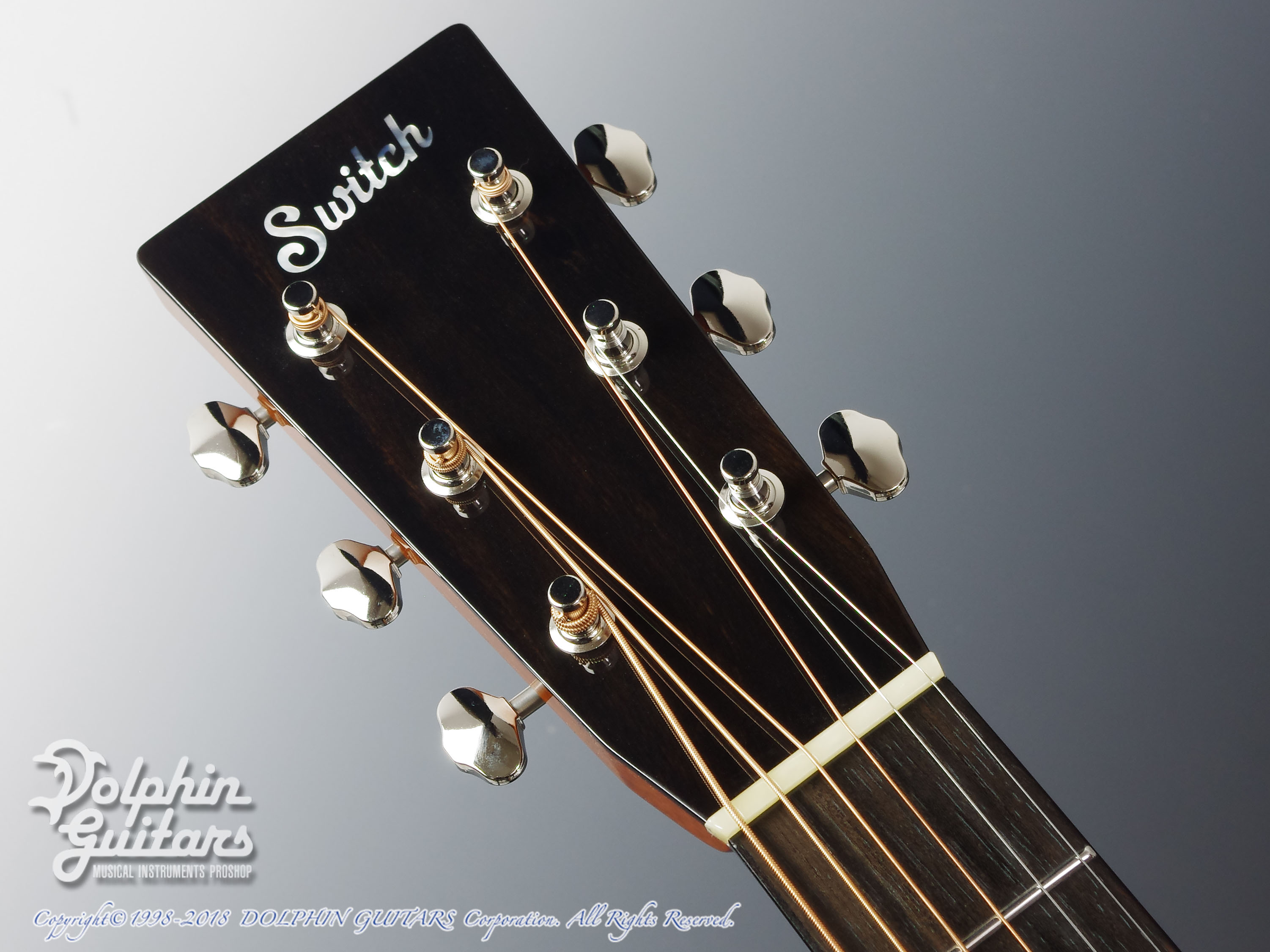 SWITCH SCD-2H A-MR (Adirondack Spruce & Madagascar Rosewood