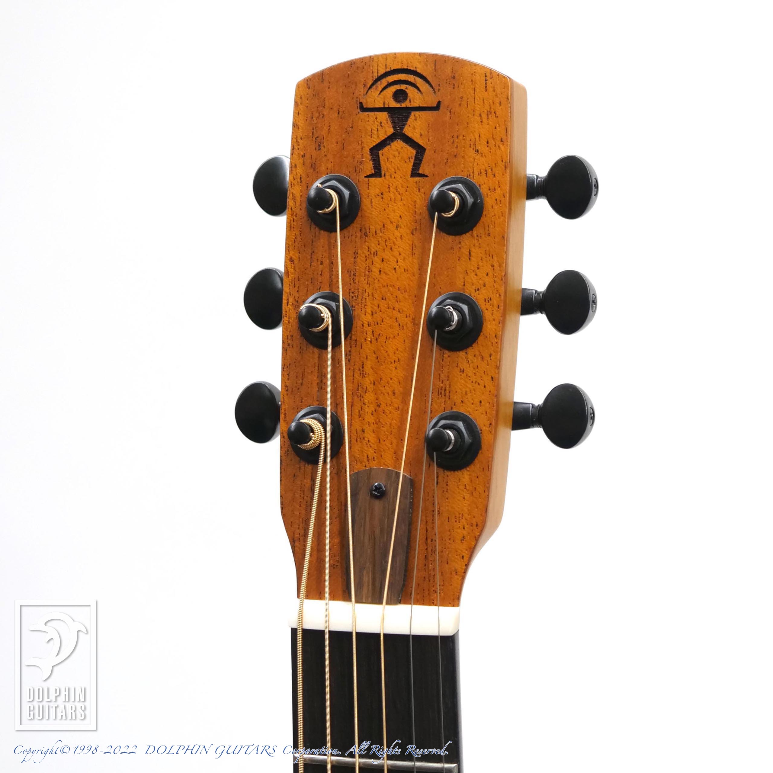 aNueNue aNN-M20E (All Mahogany)|ドルフィンギターズ