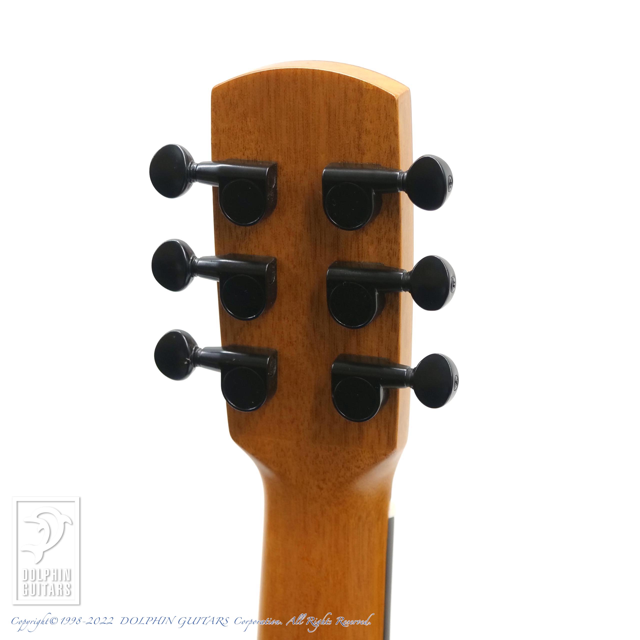 aNueNue aNN-M20E (All Mahogany)|ドルフィンギターズ