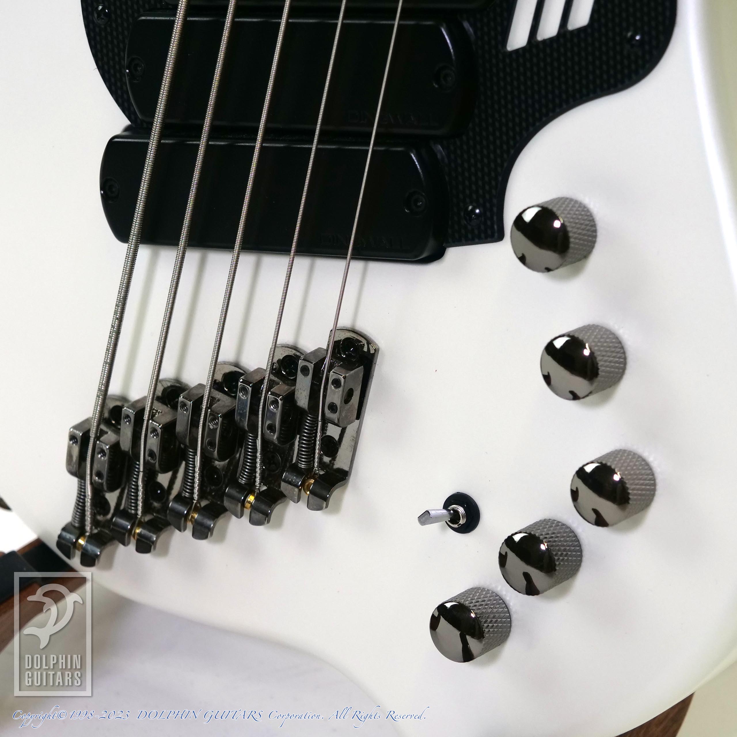 Dingwall NG3|ドルフィンギターズ