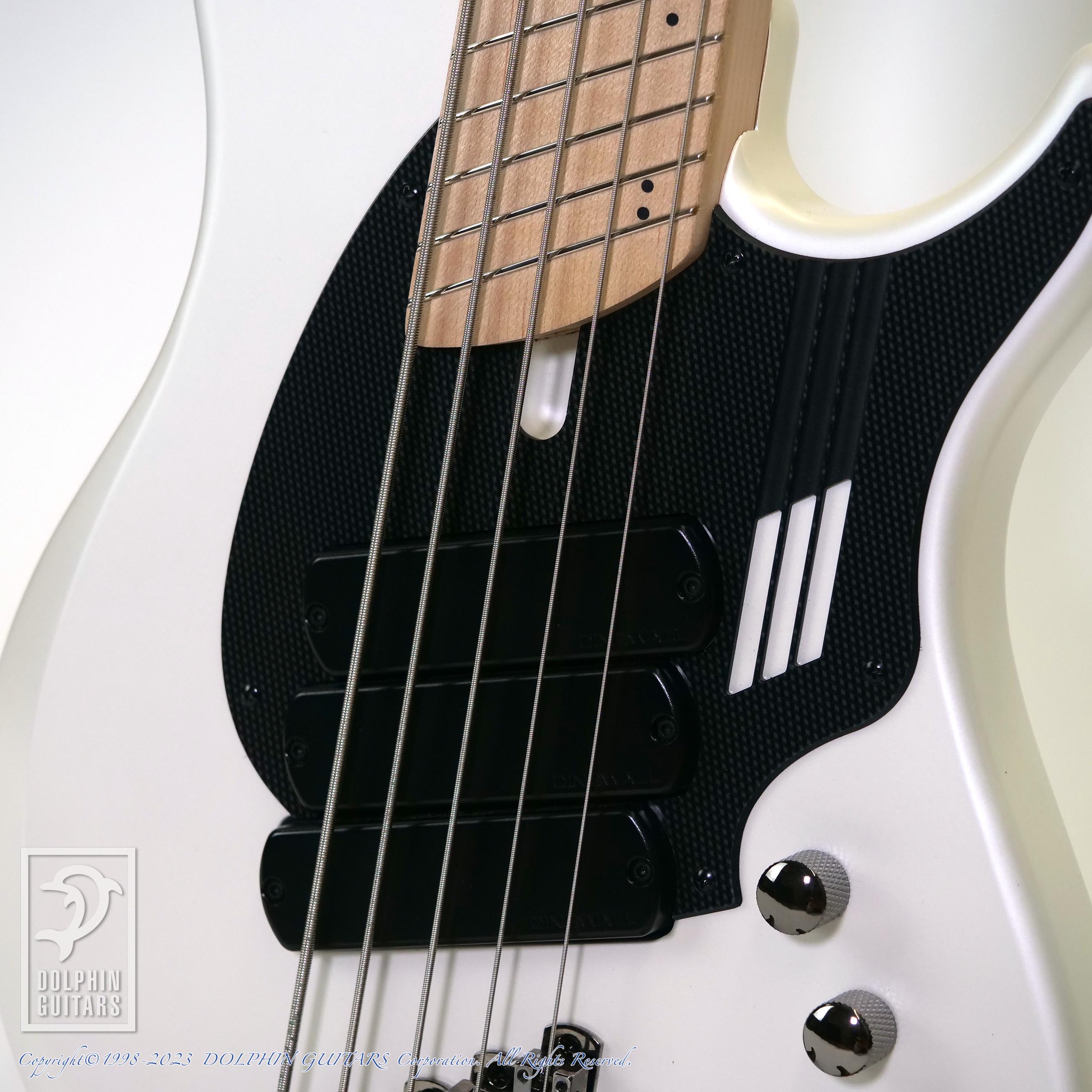 ディングウォール ダークグラス Z - Dingwall Dingwall