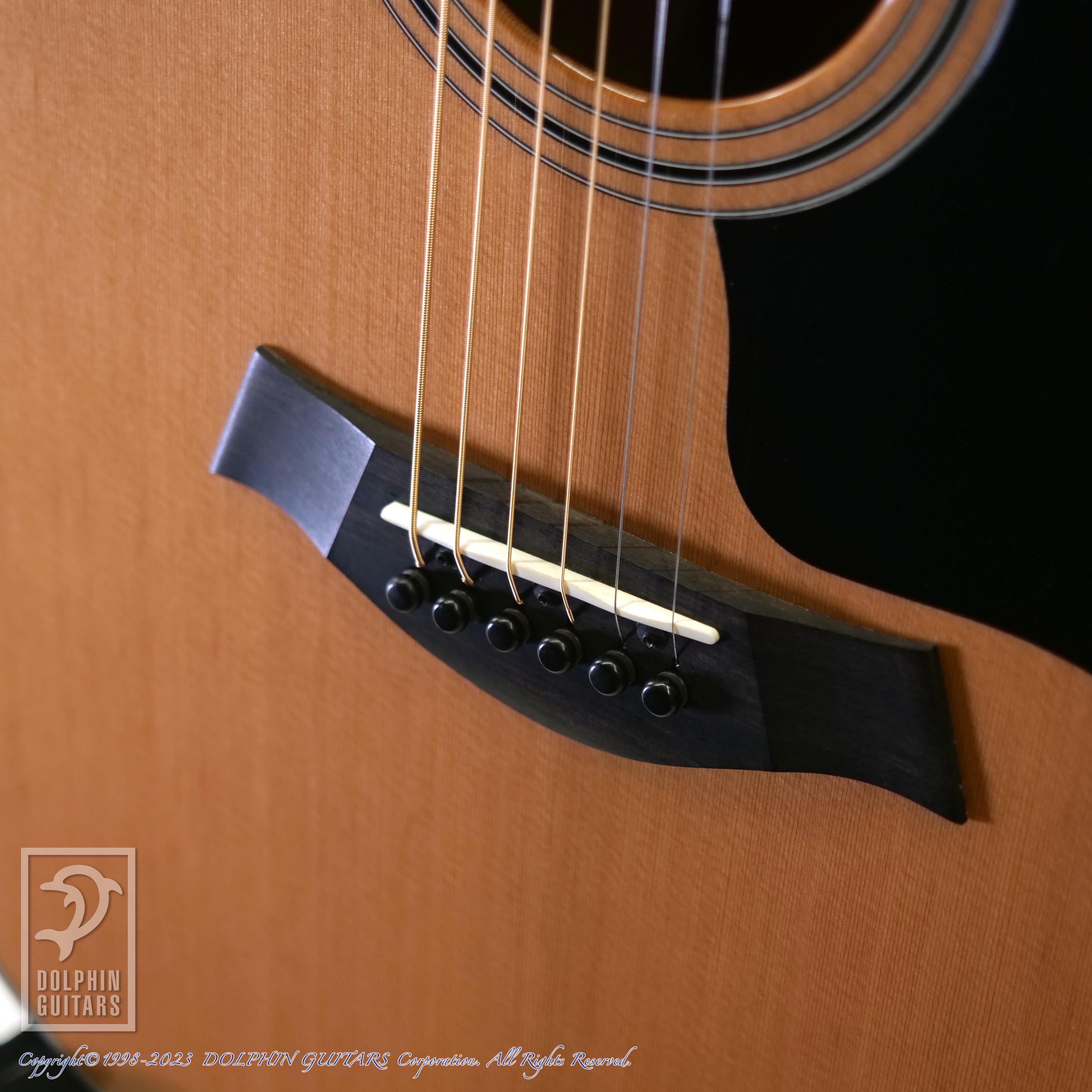 TAYLOR 414ce V-Class LTD|ドルフィンギターズ