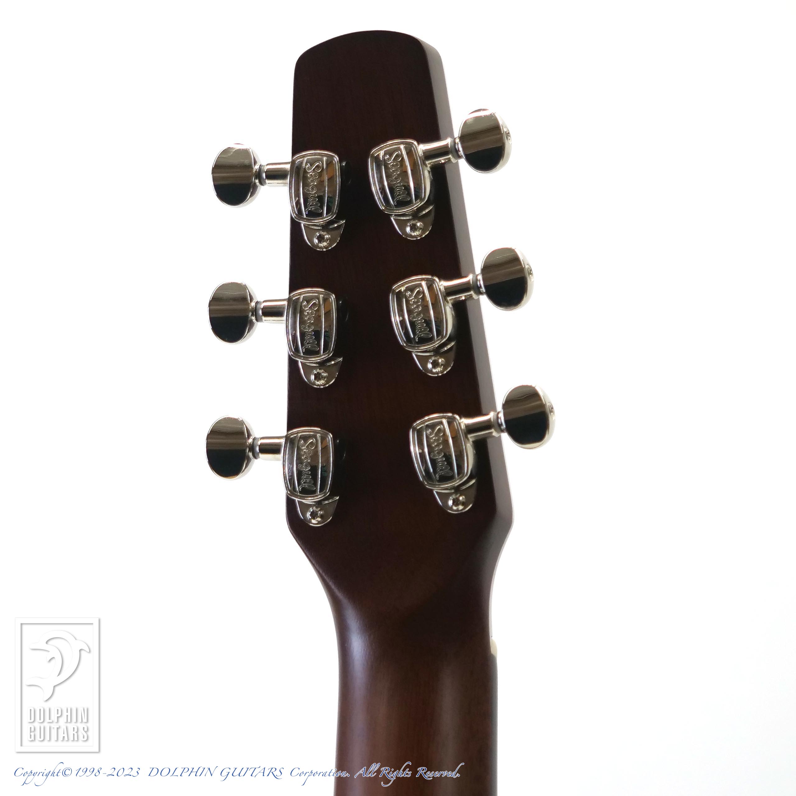 SEAGULL MARITIME SWS CONCERT HALL CW SEMI-GLOSS EQ|ドルフィンギターズ