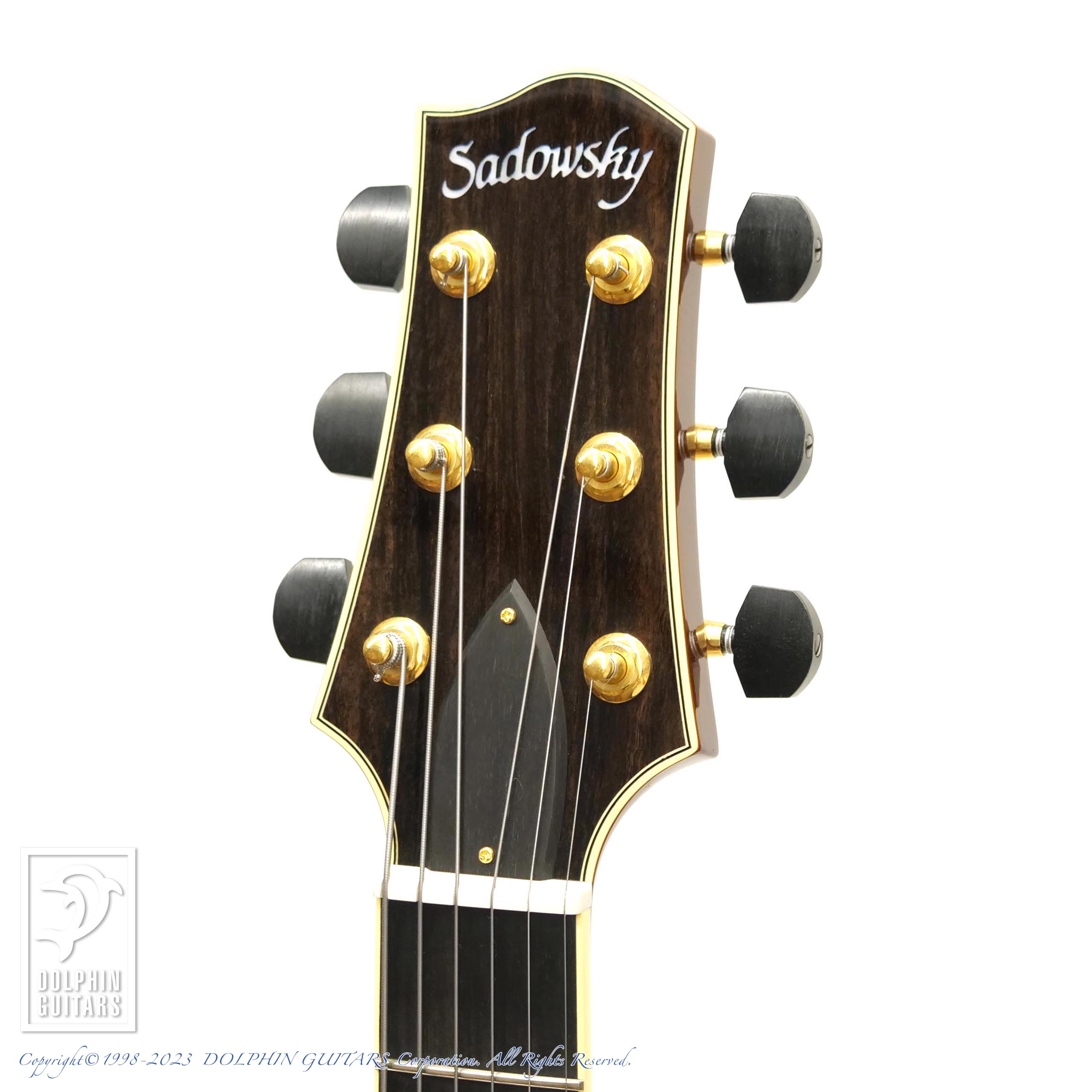 ギター Logarhythm4 LGXT Cognac Burst Flame AA | キクタニミュージック