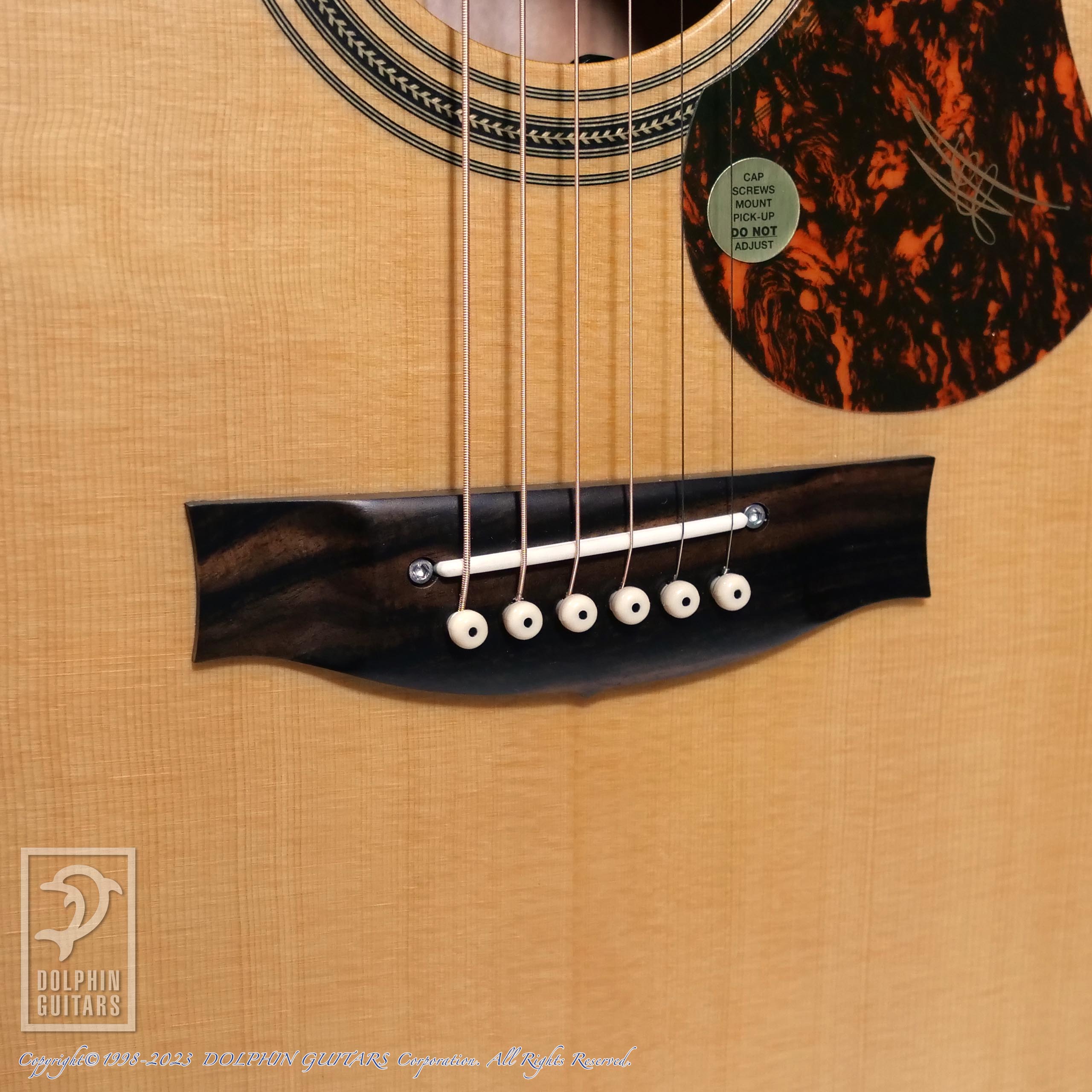 MATON EBG808TE (Tommy Emmanuel Signature)|ドルフィンギターズ