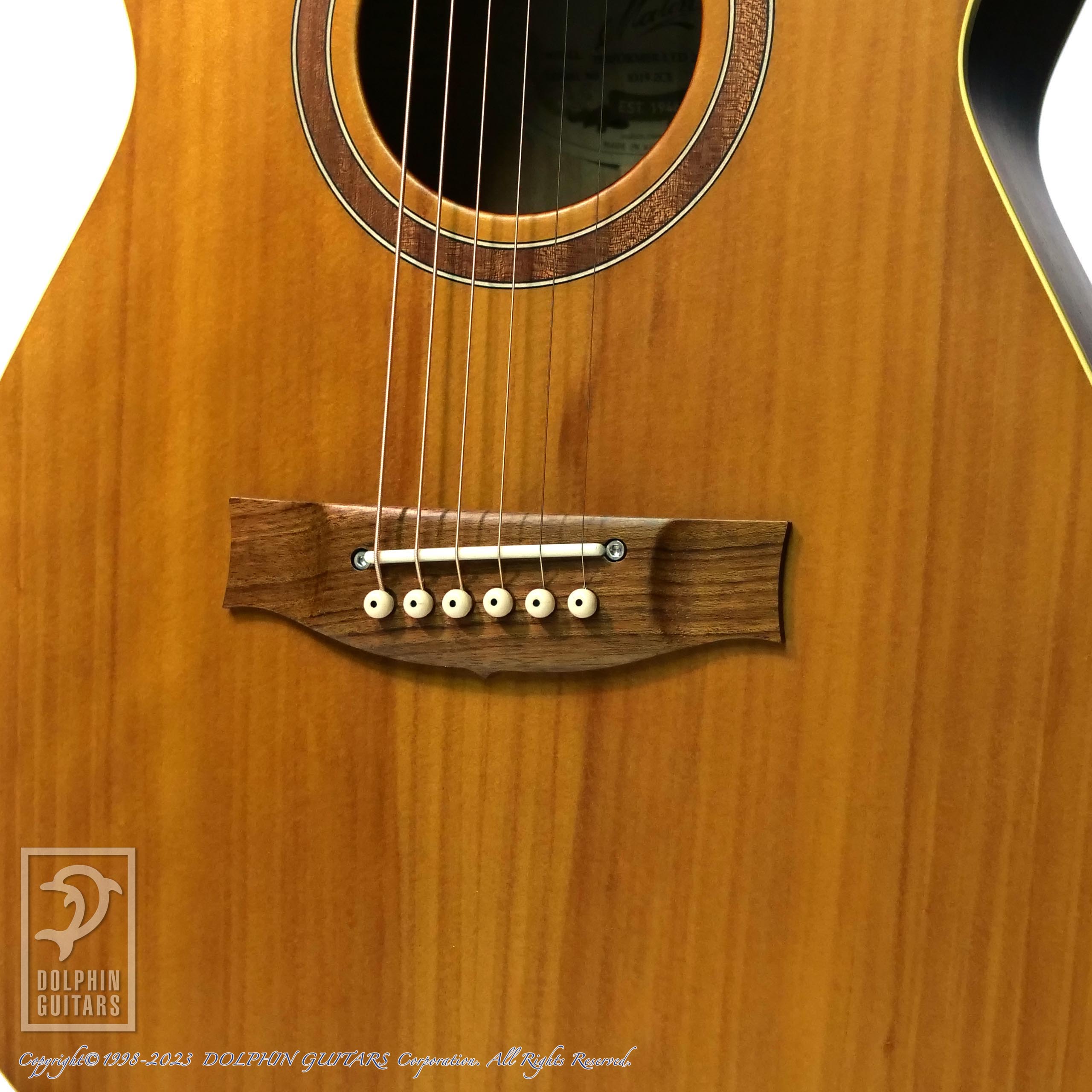 ドーンオブザドルフィン ドルフィンギターズ on X: 