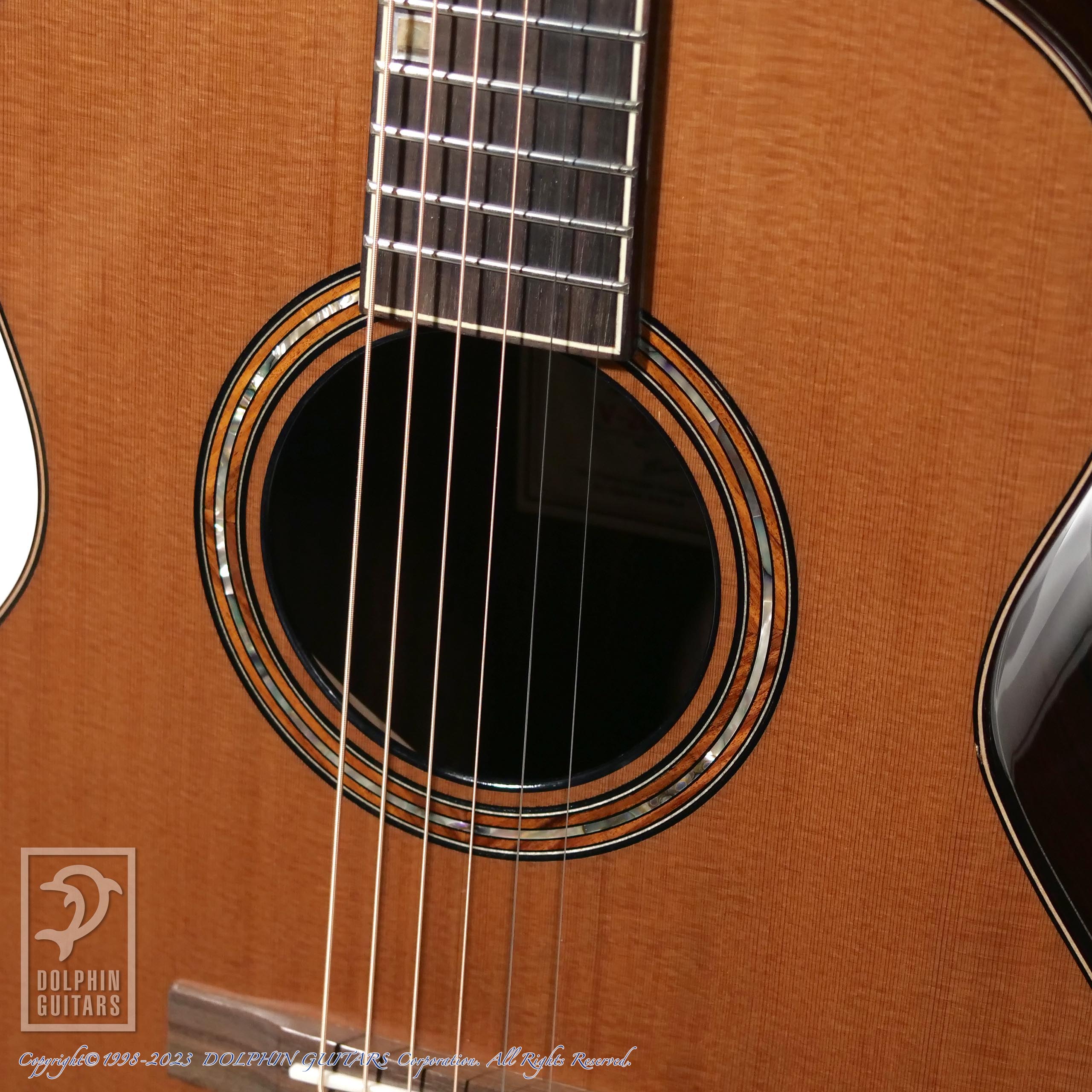 Fonzo Guitar V201C MINI|ドルフィンギターズ