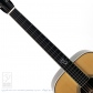 Tony Rice D Custom 1930's Adiron Top w/Vintage PG 
