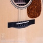 Tony Rice D Custom 1930's Adiron Top w/Vintage PG 