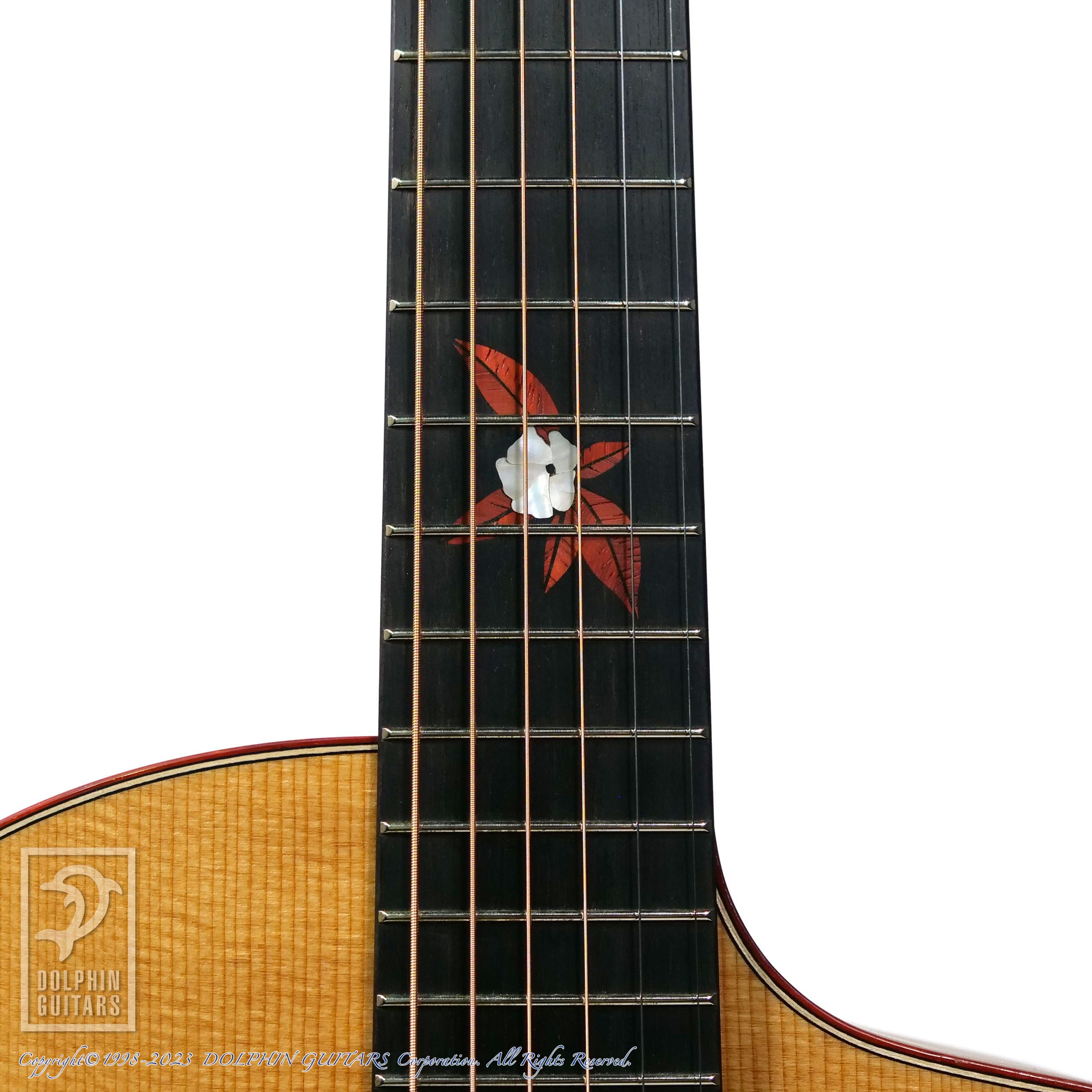 ティアナ　ギター Caraya SAFAIR36EQ 36