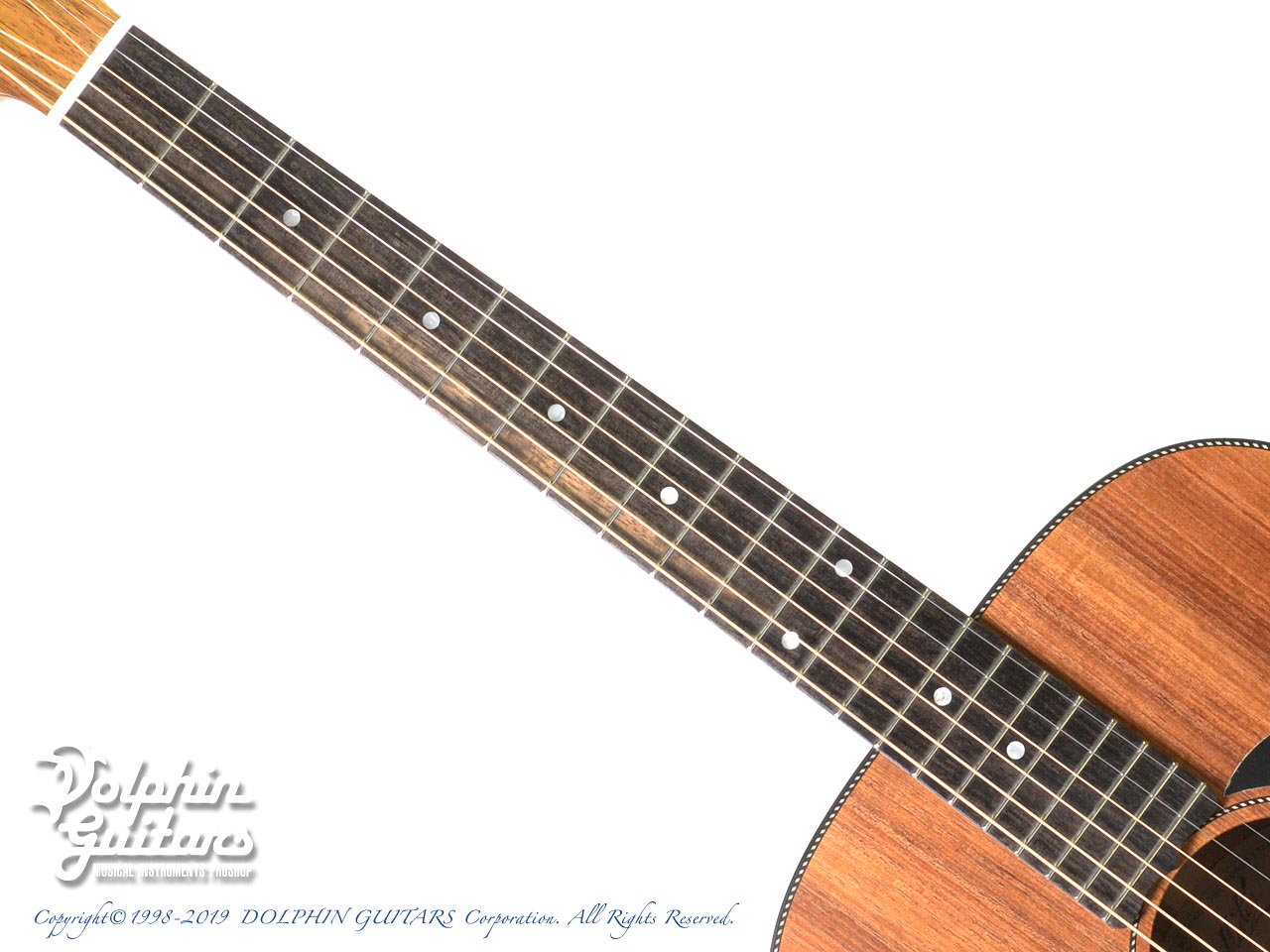 MATON EBW808|ドルフィンギターズ