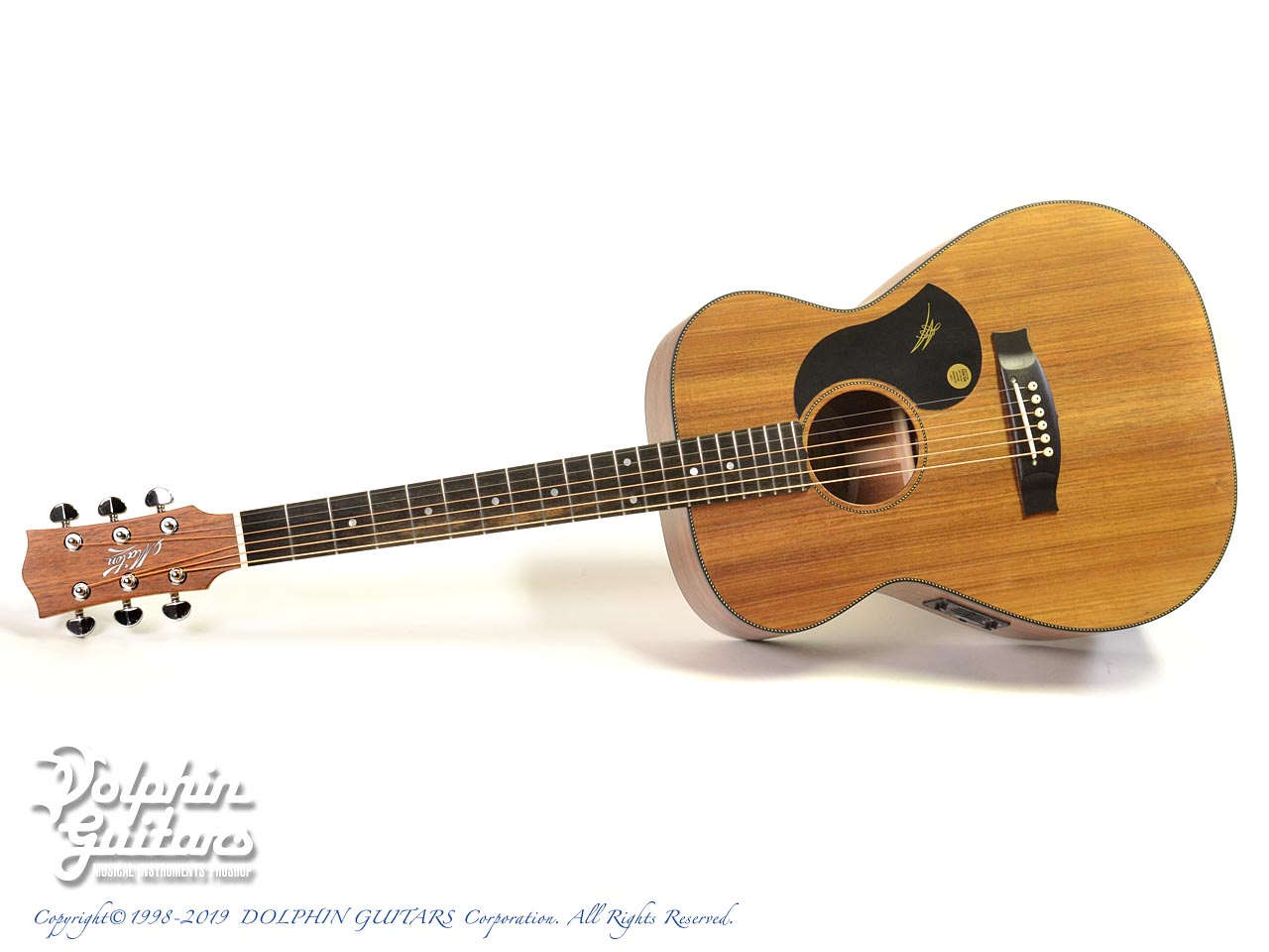 MATON EBW808|ドルフィンギターズ
