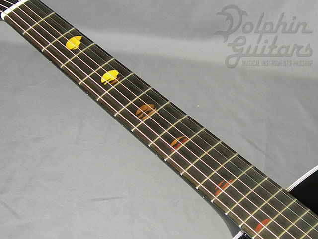 TAKAMINE LTD-2008|ドルフィンギターズ