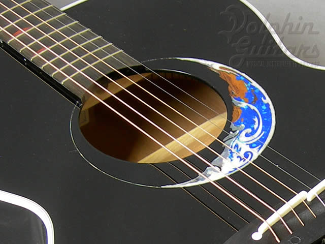 TAKAMINE LTD-2008|ドルフィンギターズ