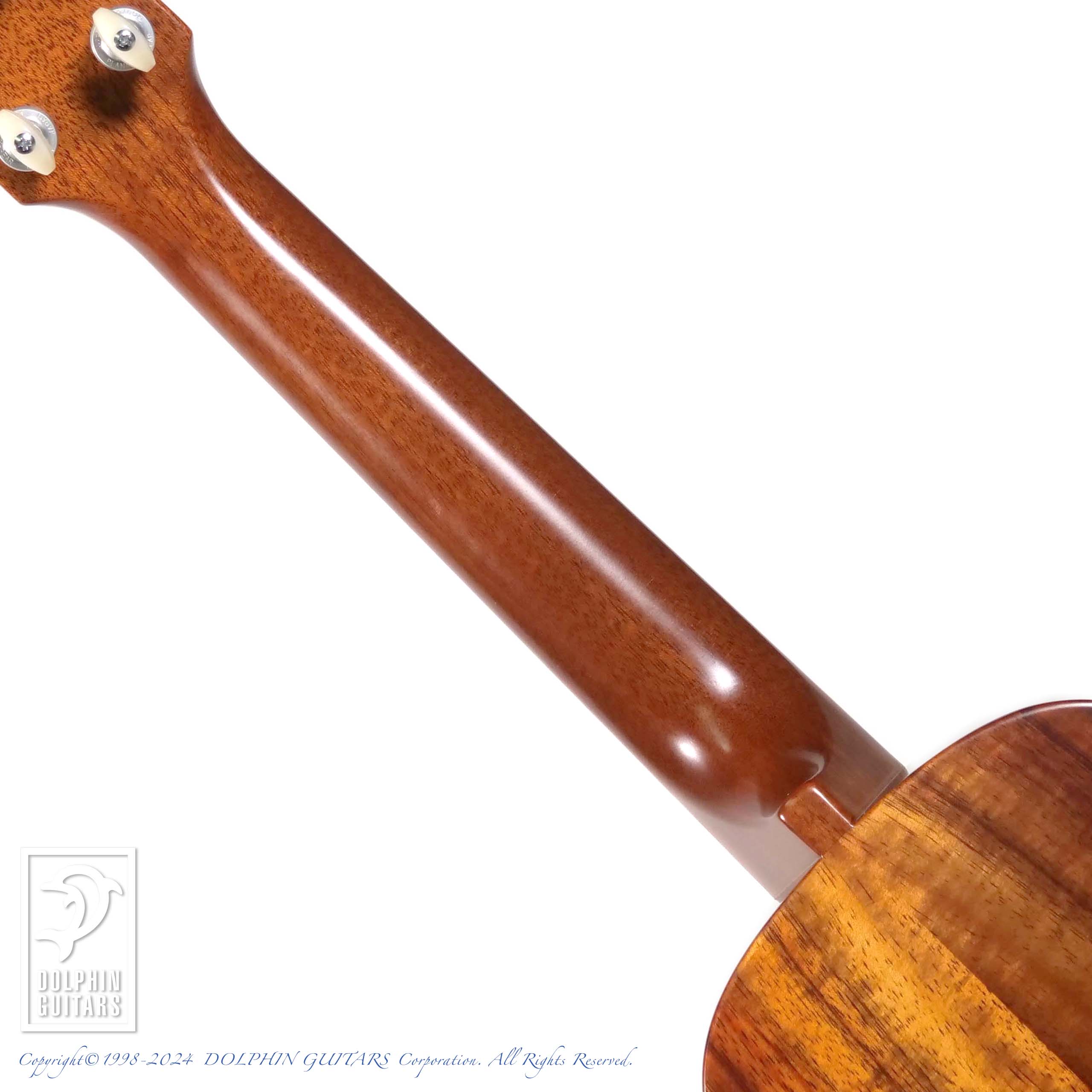 SEILEN SLC-282x4 Round Top|ドルフィンギターズ