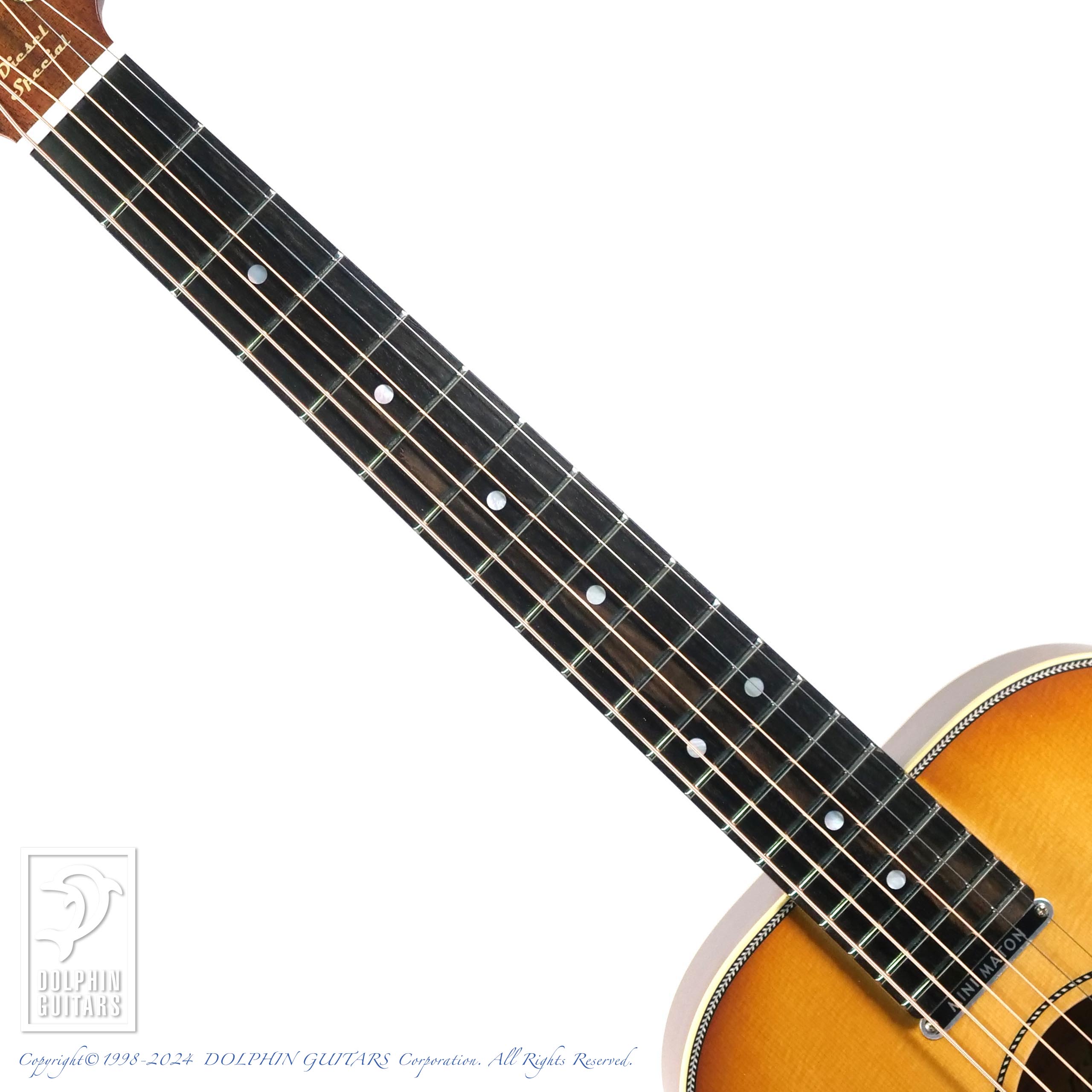 MATON EMD6 (Mini Maton Diesel Special)|ドルフィンギターズ