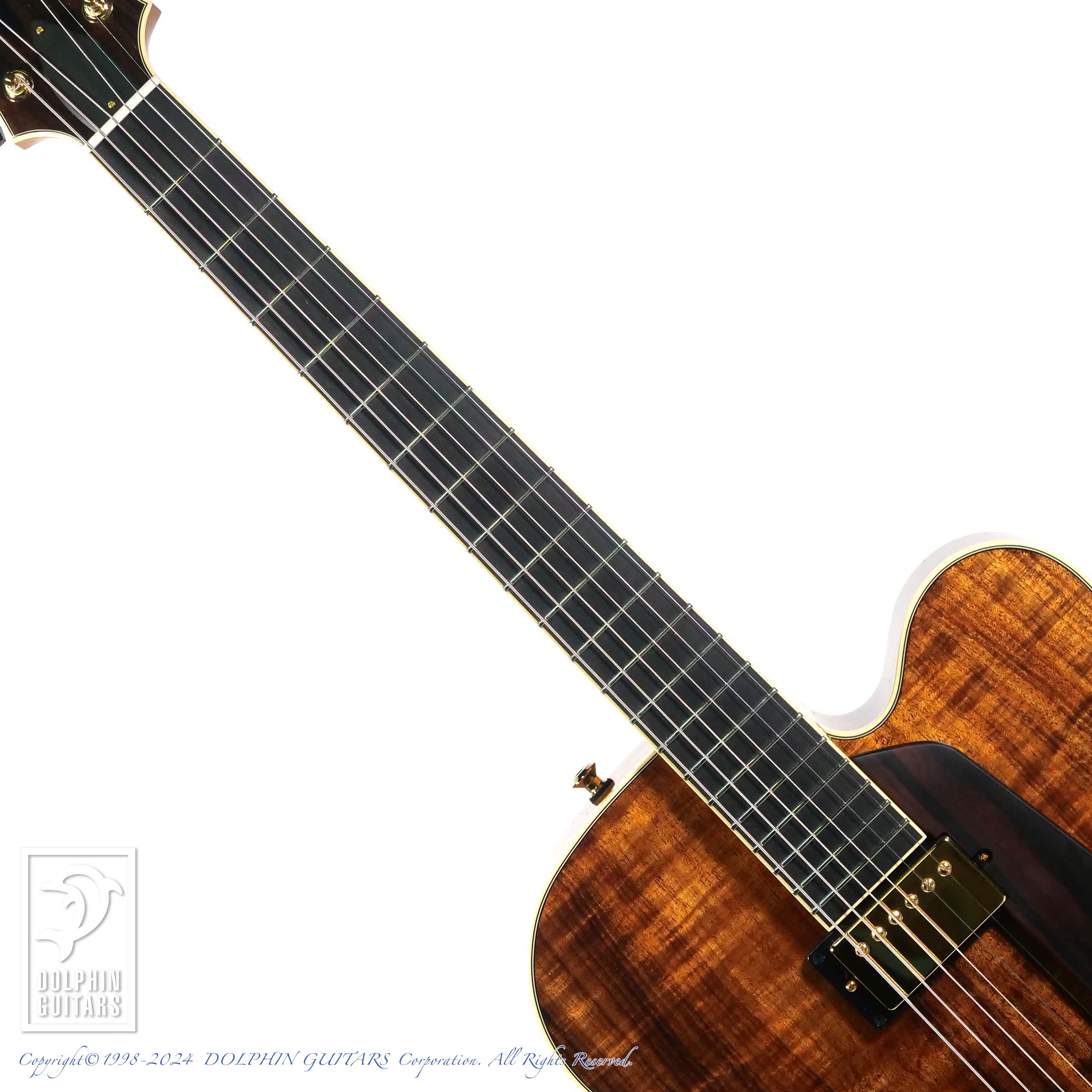 SADOWSKY The Jim Hall Model Koa|ドルフィンギターズ