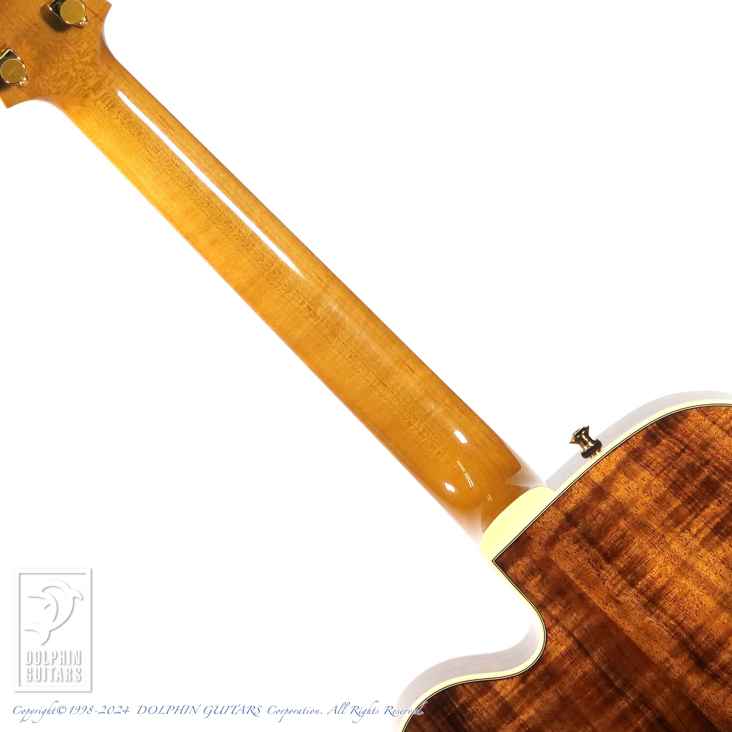 SADOWSKY The Jim Hall Model Koa|ドルフィンギターズ