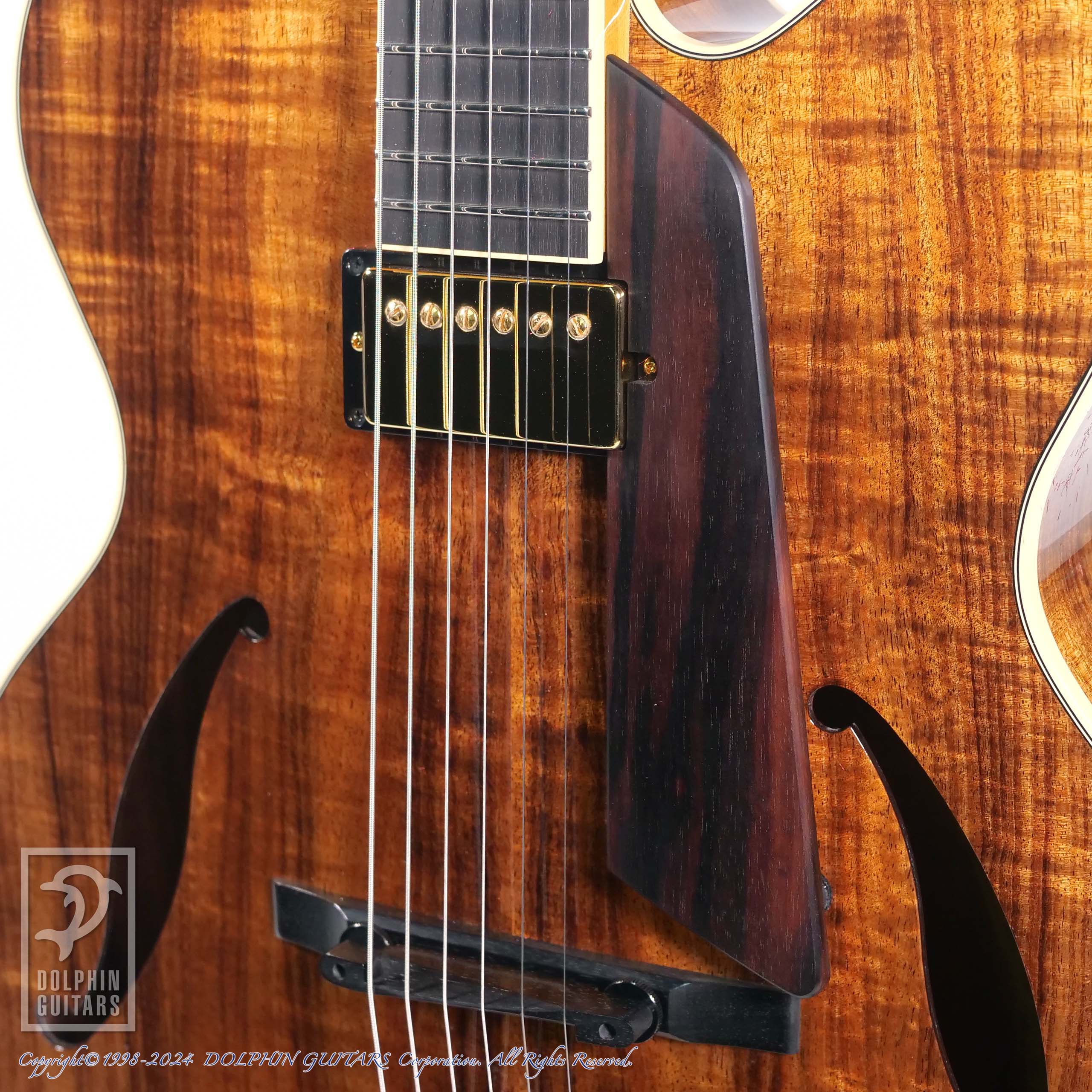 SADOWSKY The Jim Hall Model Koa|ドルフィンギターズ