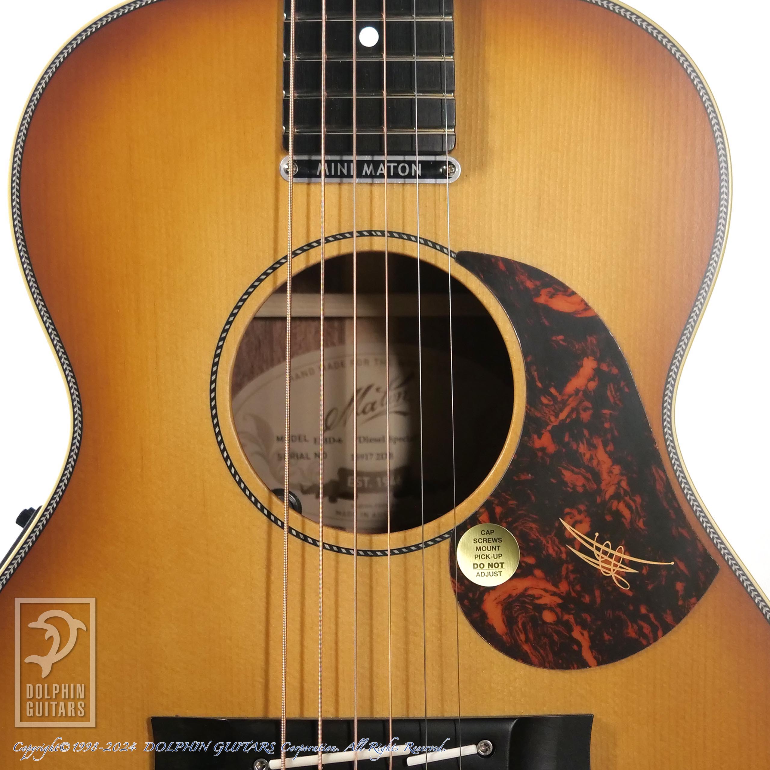 MATON EMD6 (Mini Maton Diesel Special)|ドルフィンギターズ