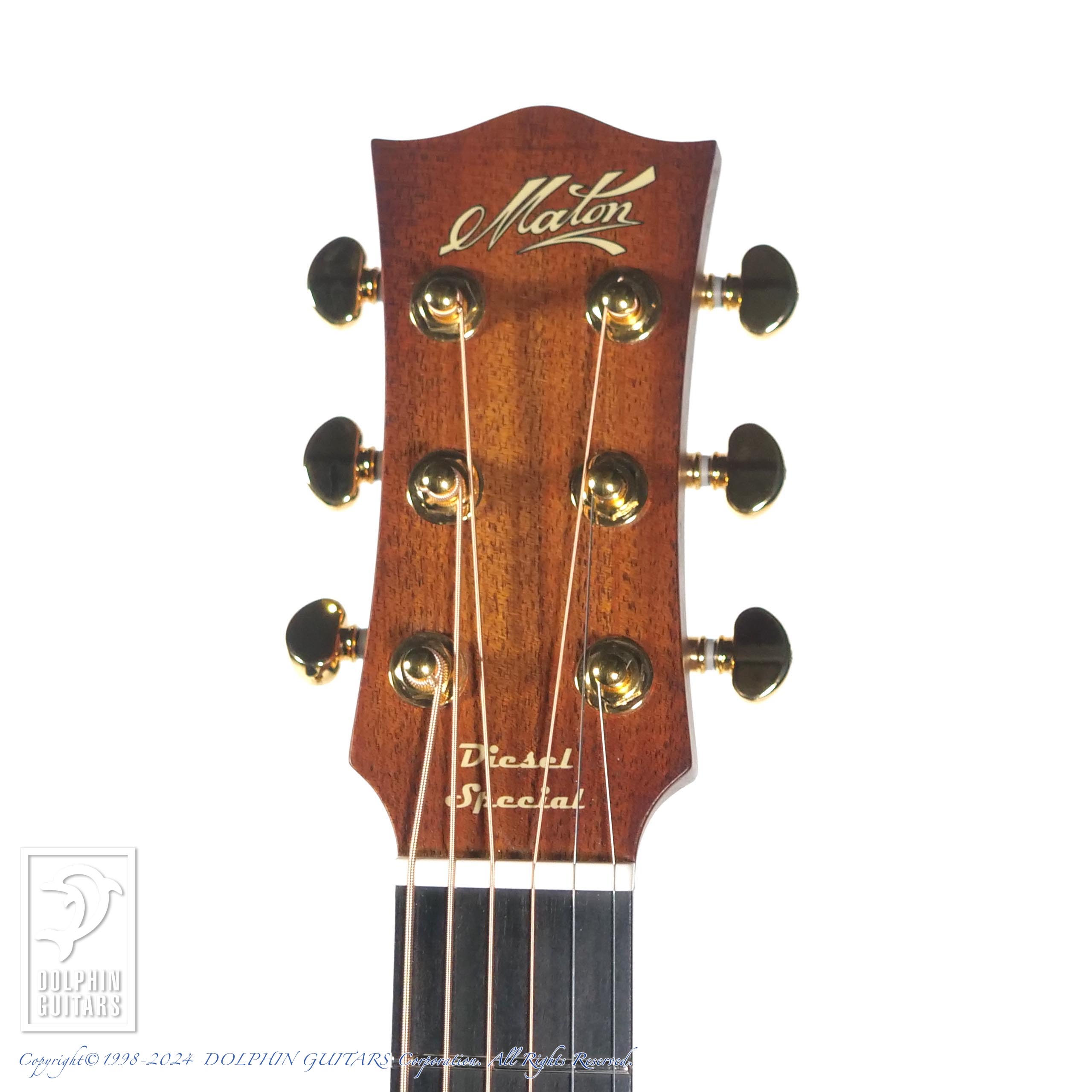 Maton EMD-6（ミニメイトン ディーゼル・スペシャル）中古品　調整済み MATON EMD6 (Mini Maton Diesel Special)|ドルフィンギターズ