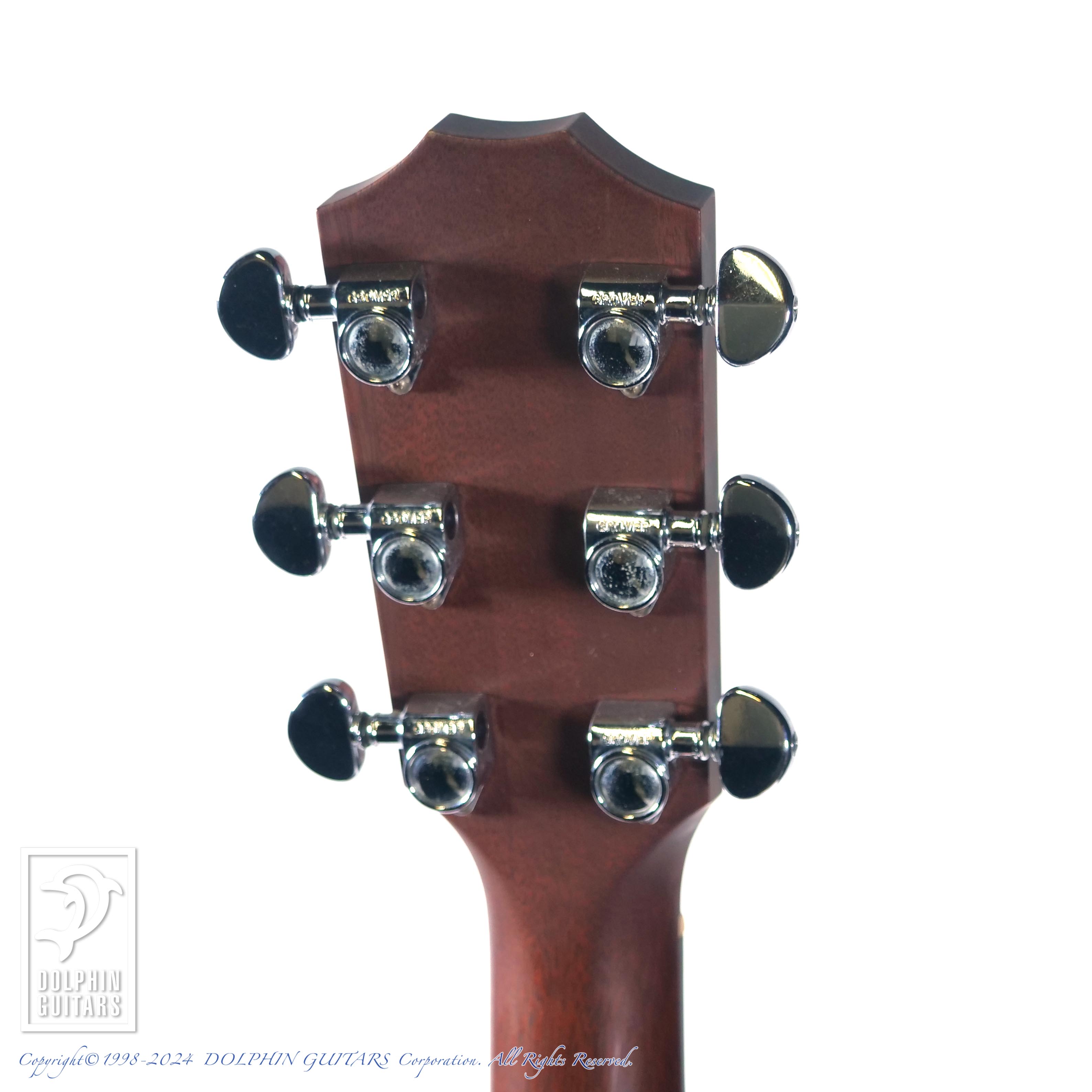 TAYLOR 410|ドルフィンギターズ
