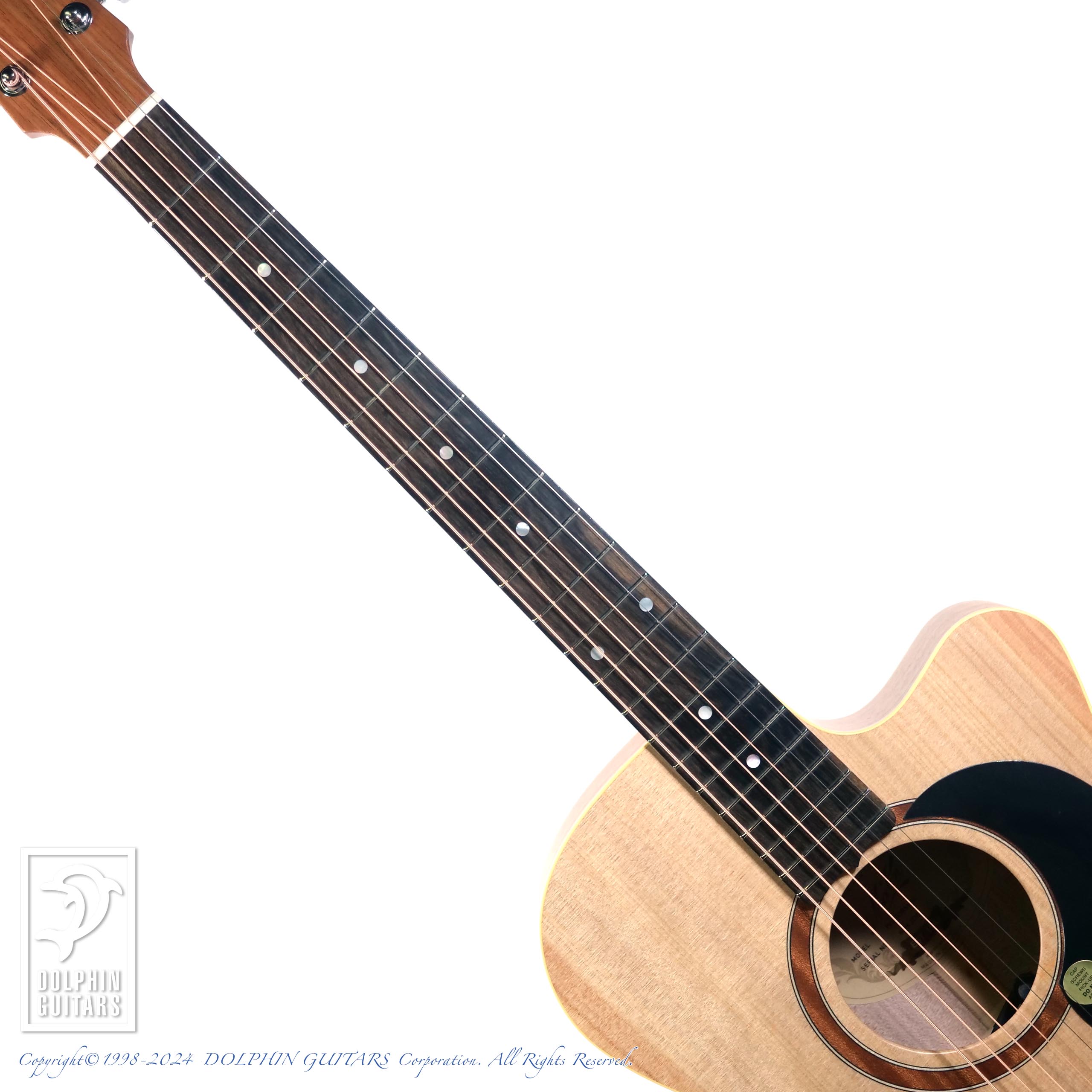 MATON Performer|ドルフィンギターズ