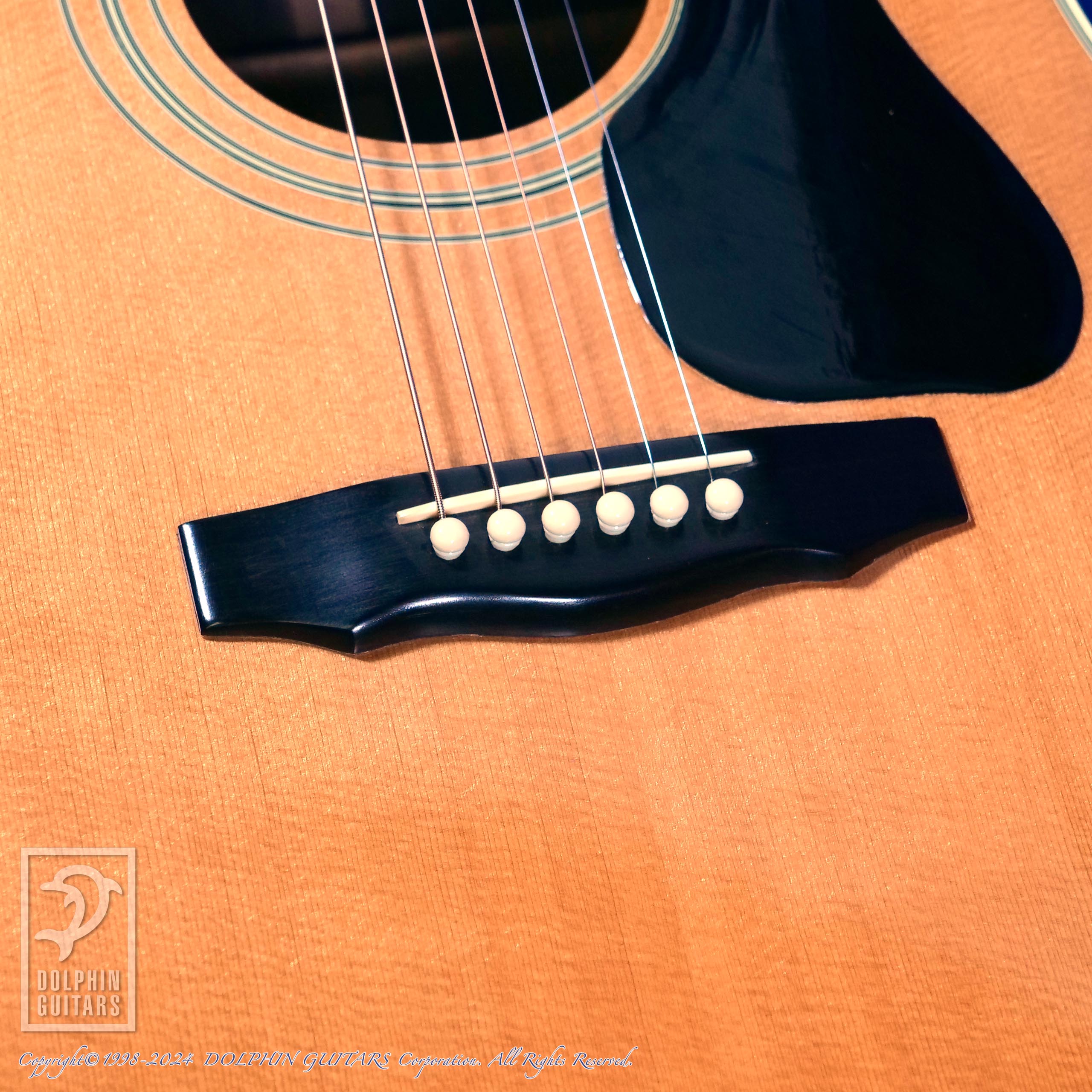 GUILD D-55|ドルフィンギターズ
