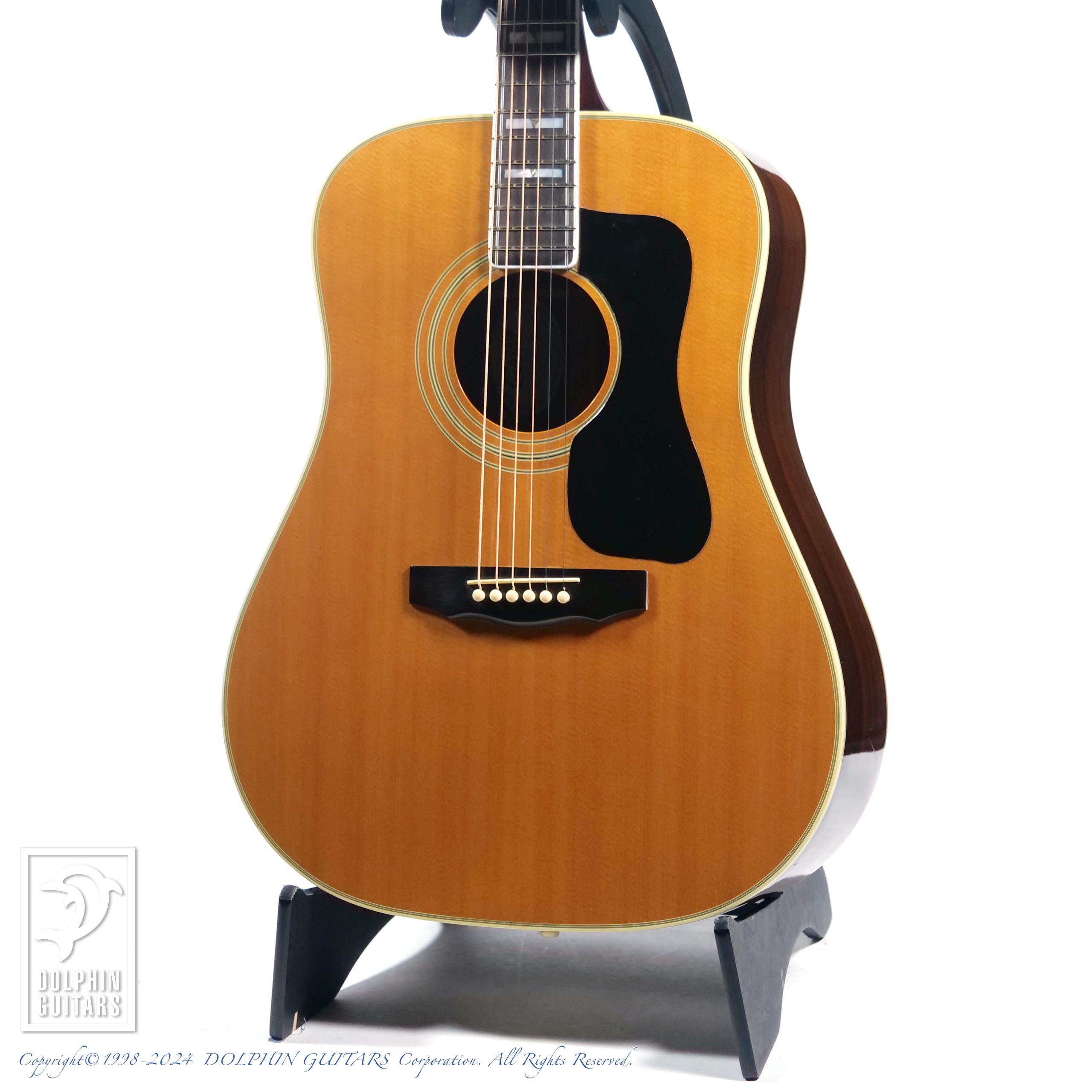 GUILD D-55|ドルフィンギターズ