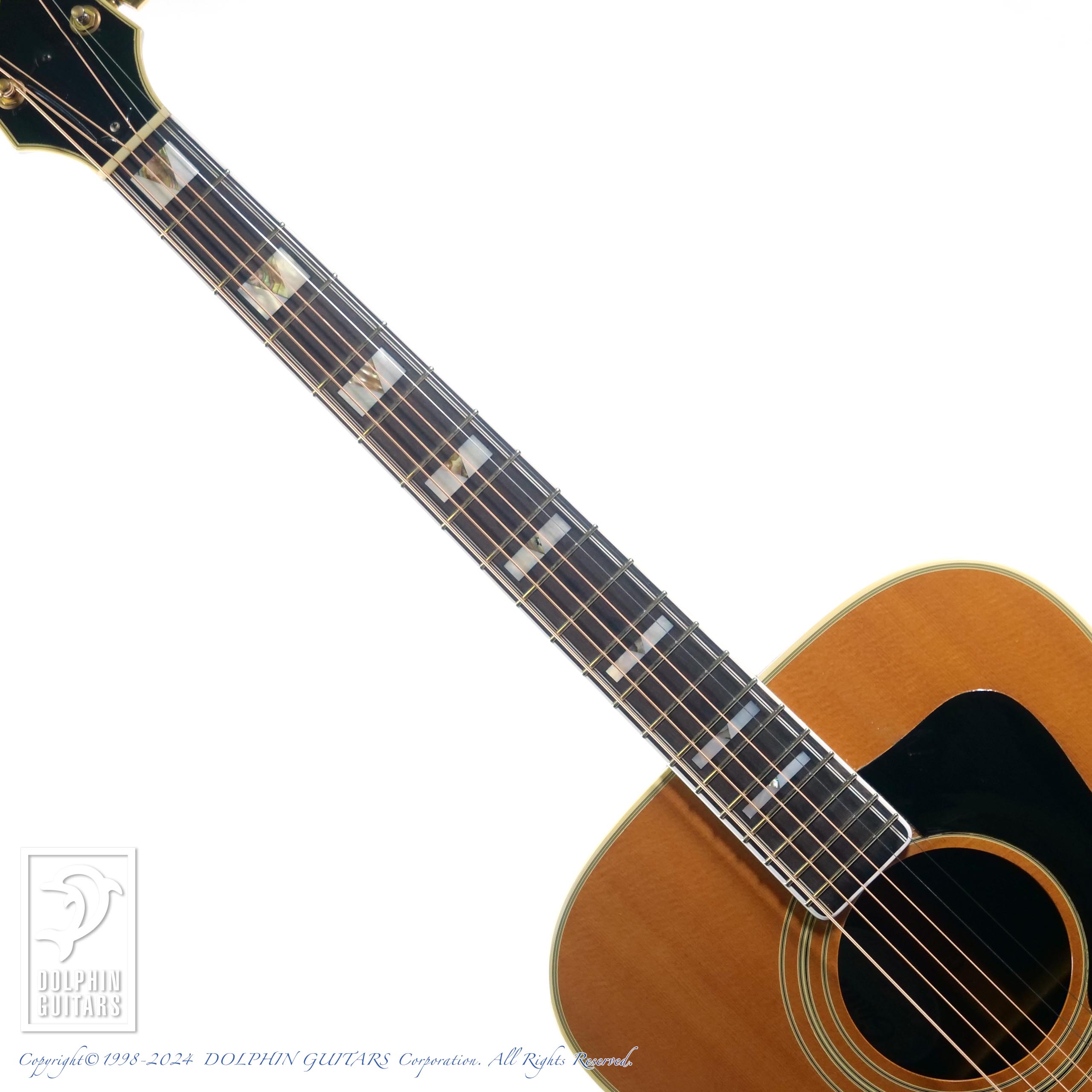 GUILD D-55|ドルフィンギターズ