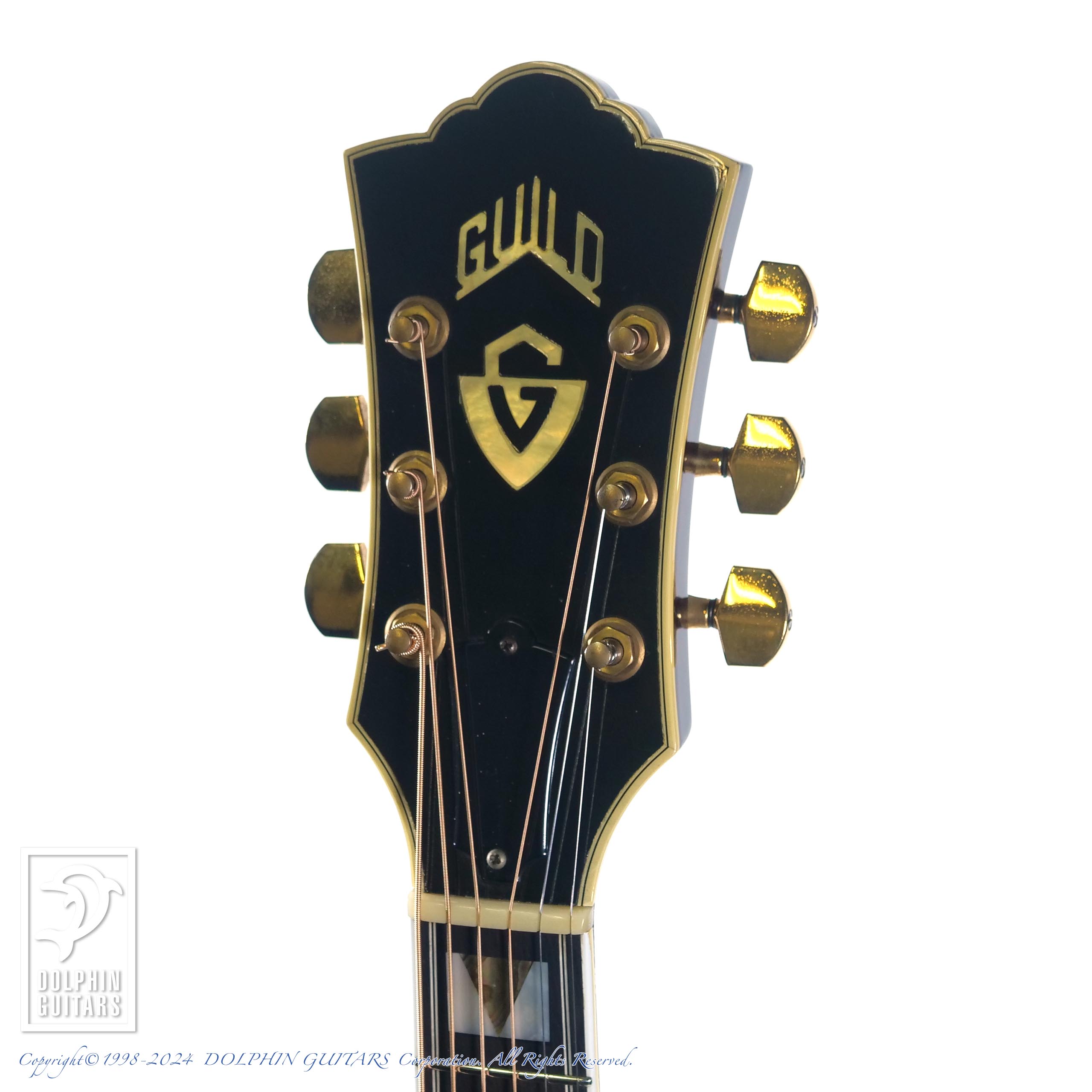 GUILD D-55|ドルフィンギターズ