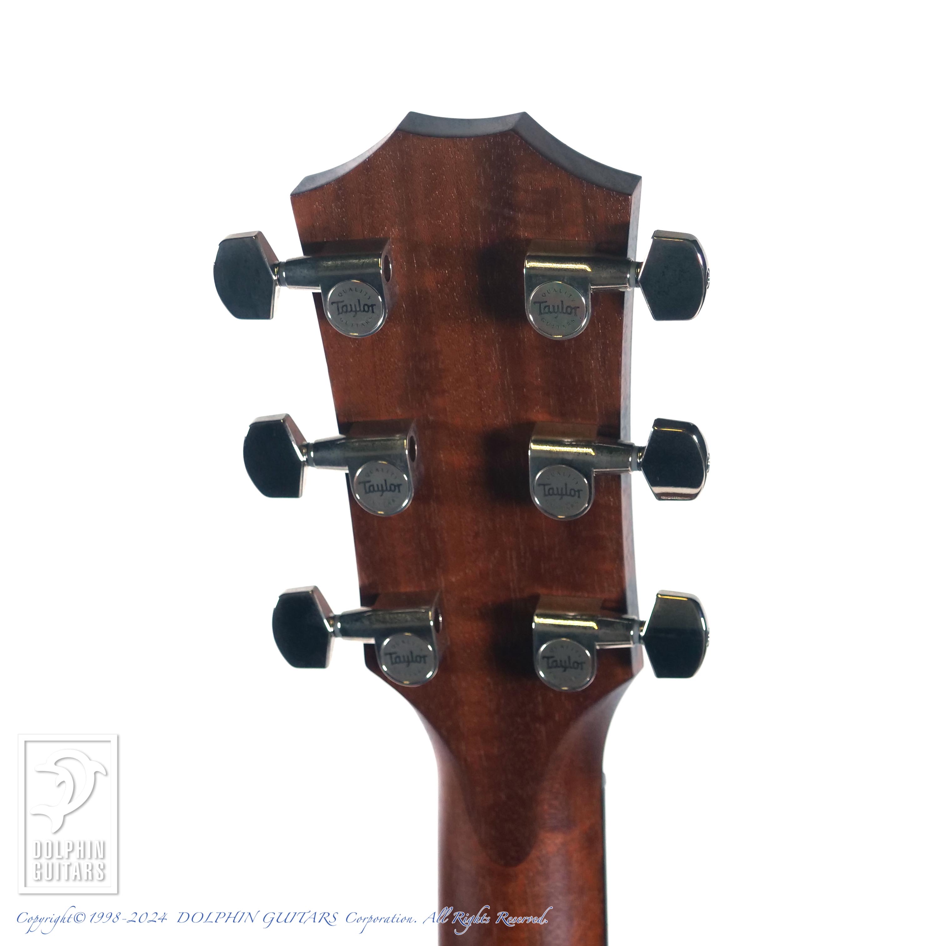 TAYLOR AD 17E BK TOP grand pacific V-class|ドルフィンギターズ