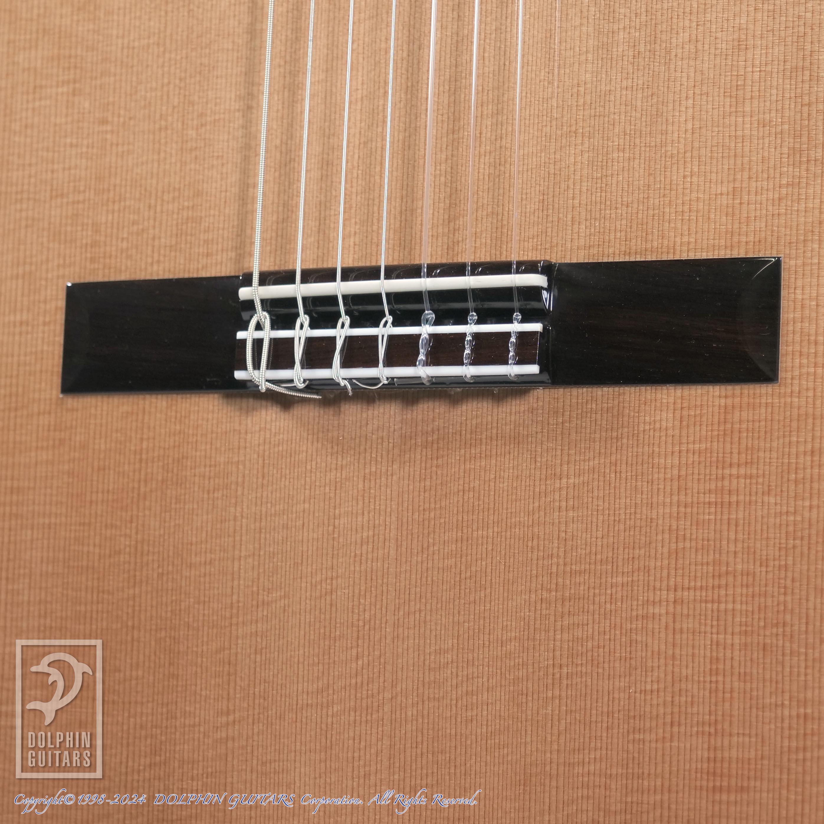ASTURIAS 7-String|ドルフィンギターズ