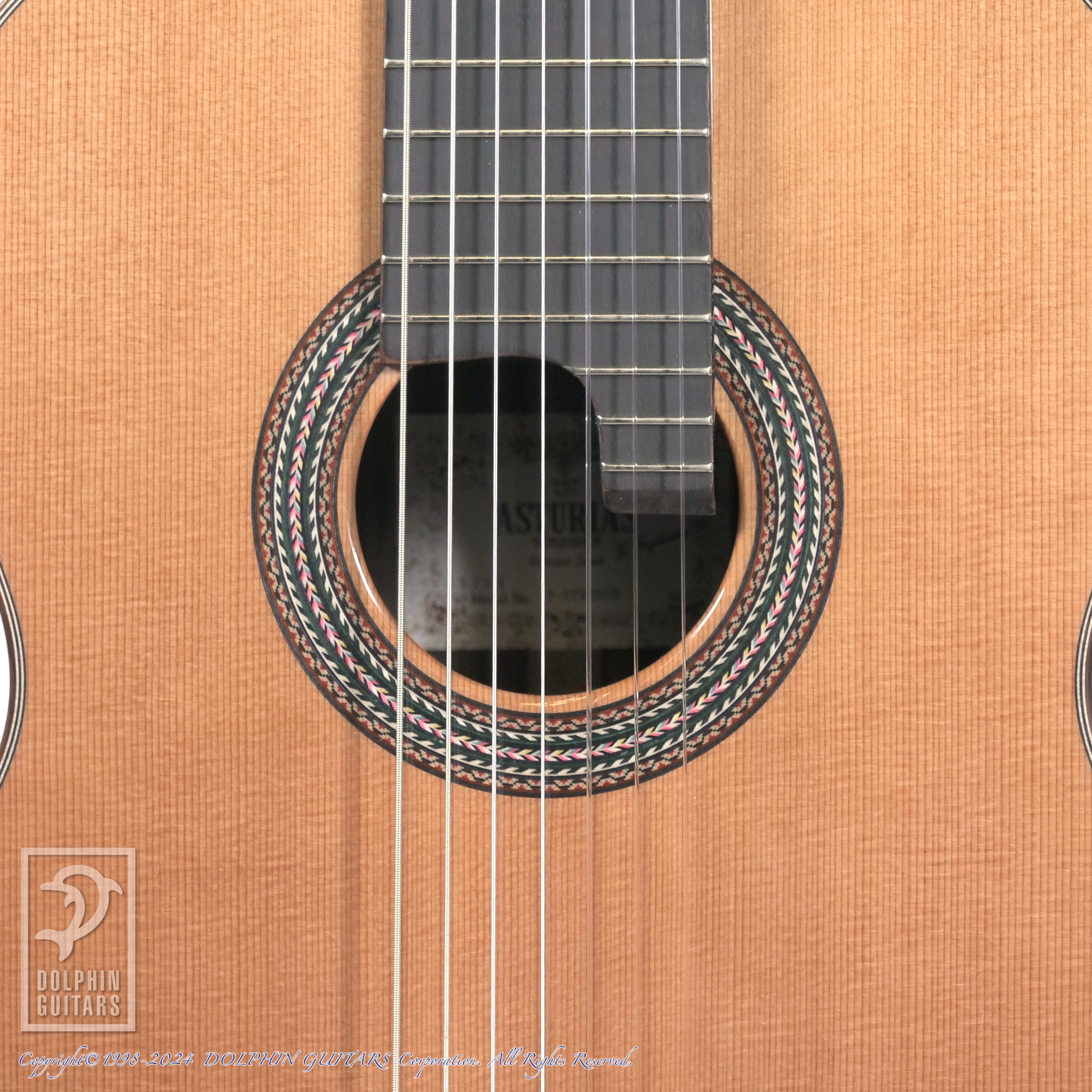 ASTURIAS 7-String|ドルフィンギターズ