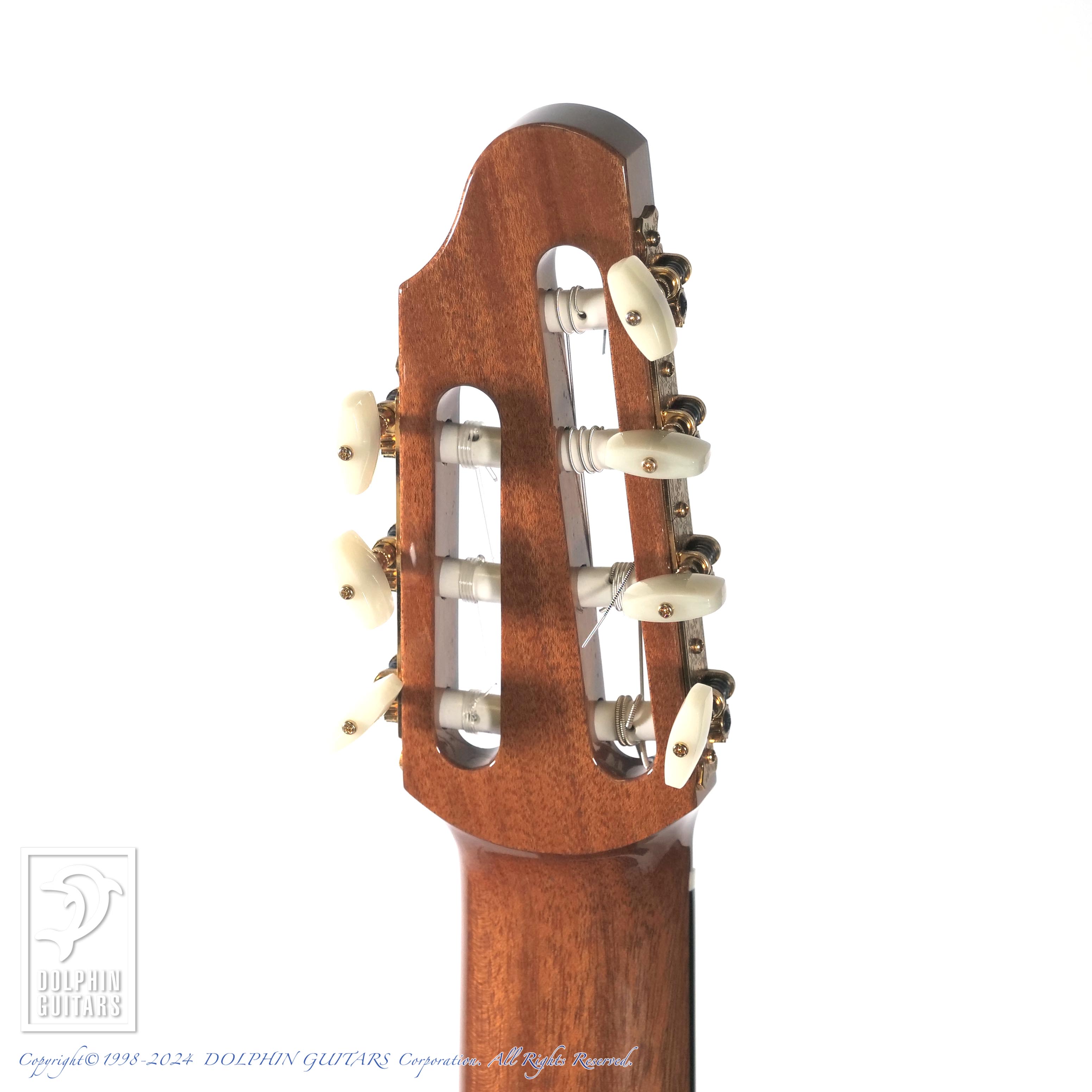 ASTURIAS 7-String|ドルフィンギターズ