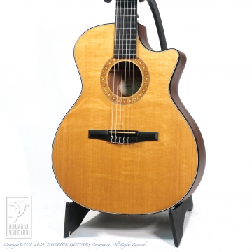 TAYLOR NS54-CE|ドルフィンギターズ