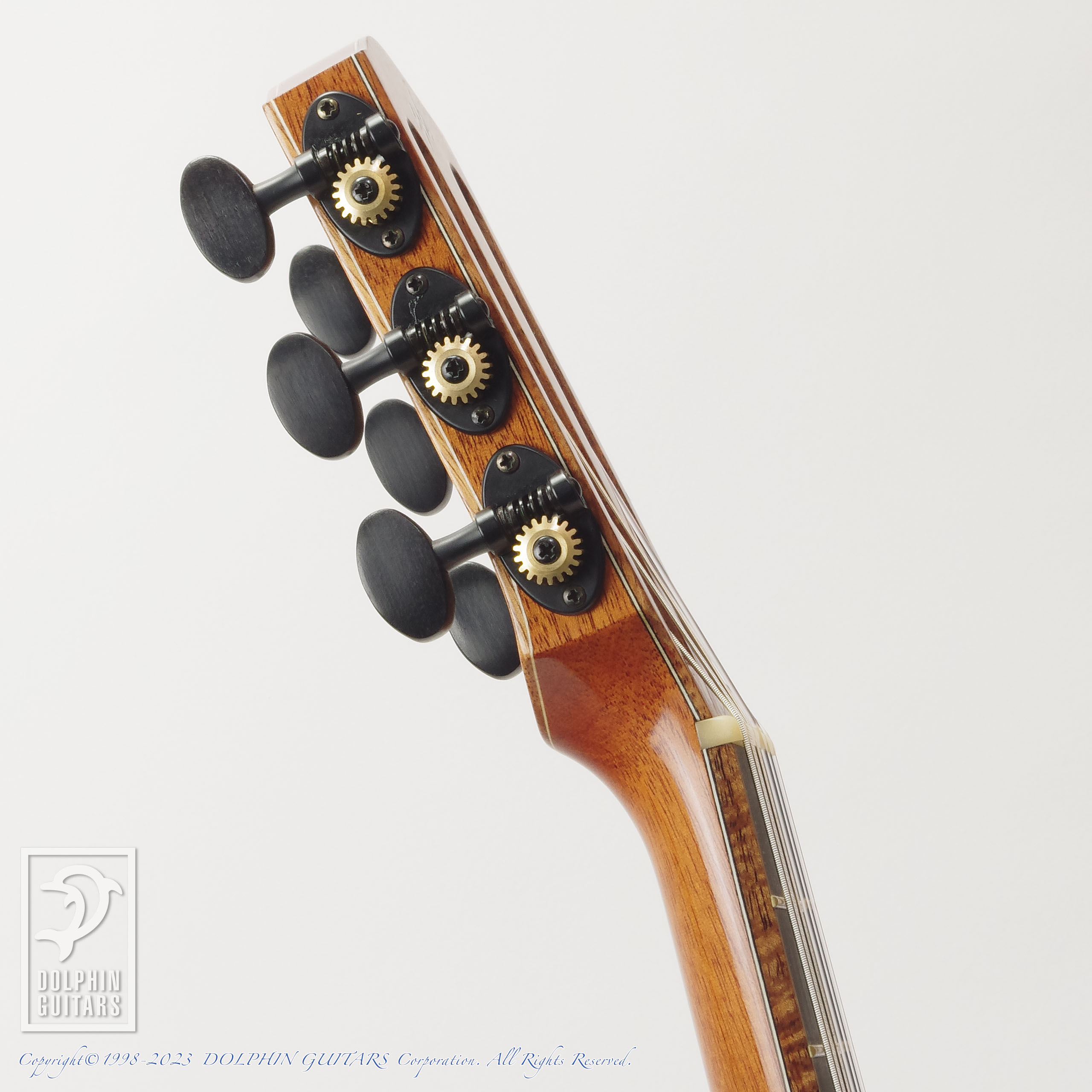 HAYASHI GUITARS Lana Piccolo Cutaway (Nylon Strings) ドルフィンギターズ