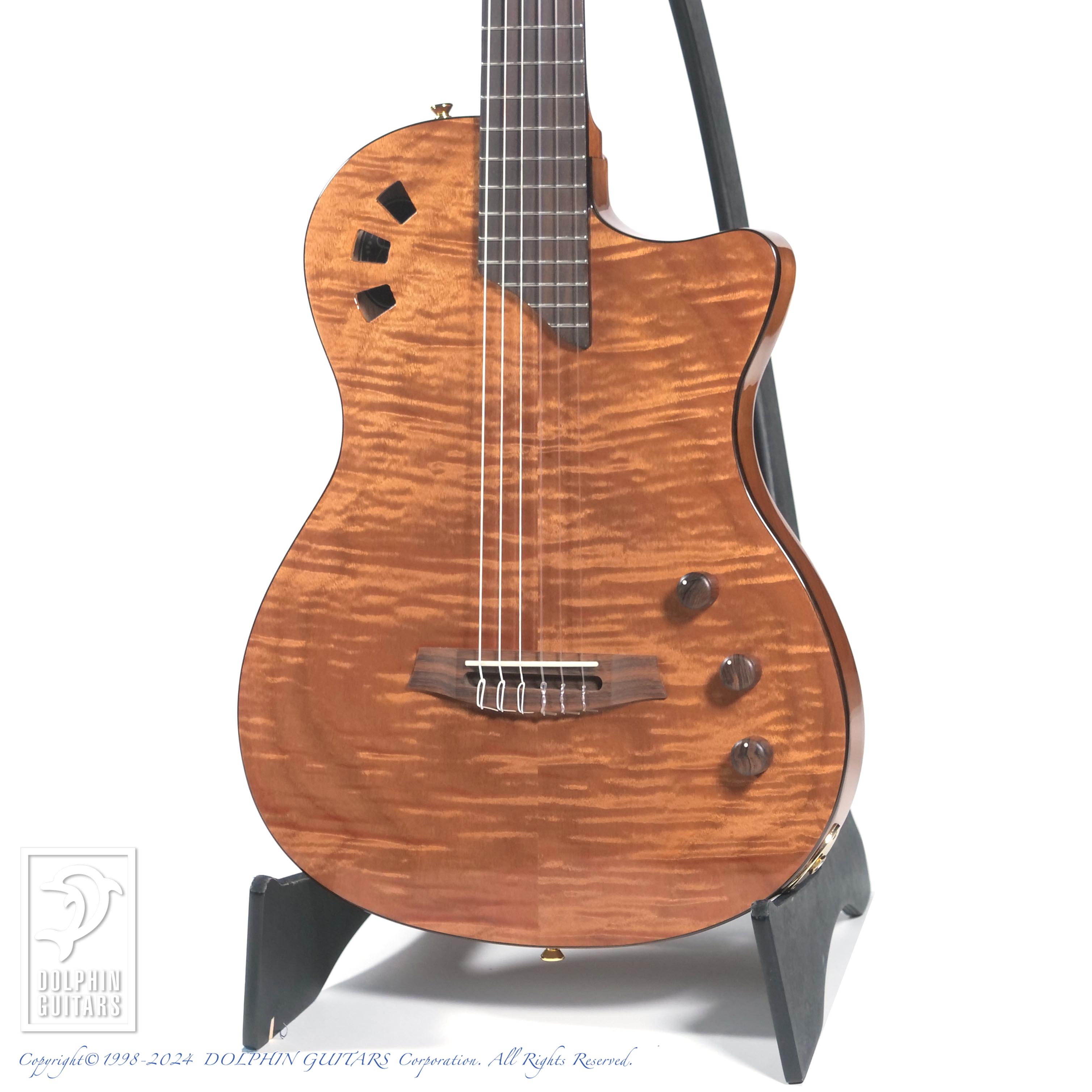 CORDOBA STAGE GUITAR (NATURAL AMBER)|ドルフィンギターズ