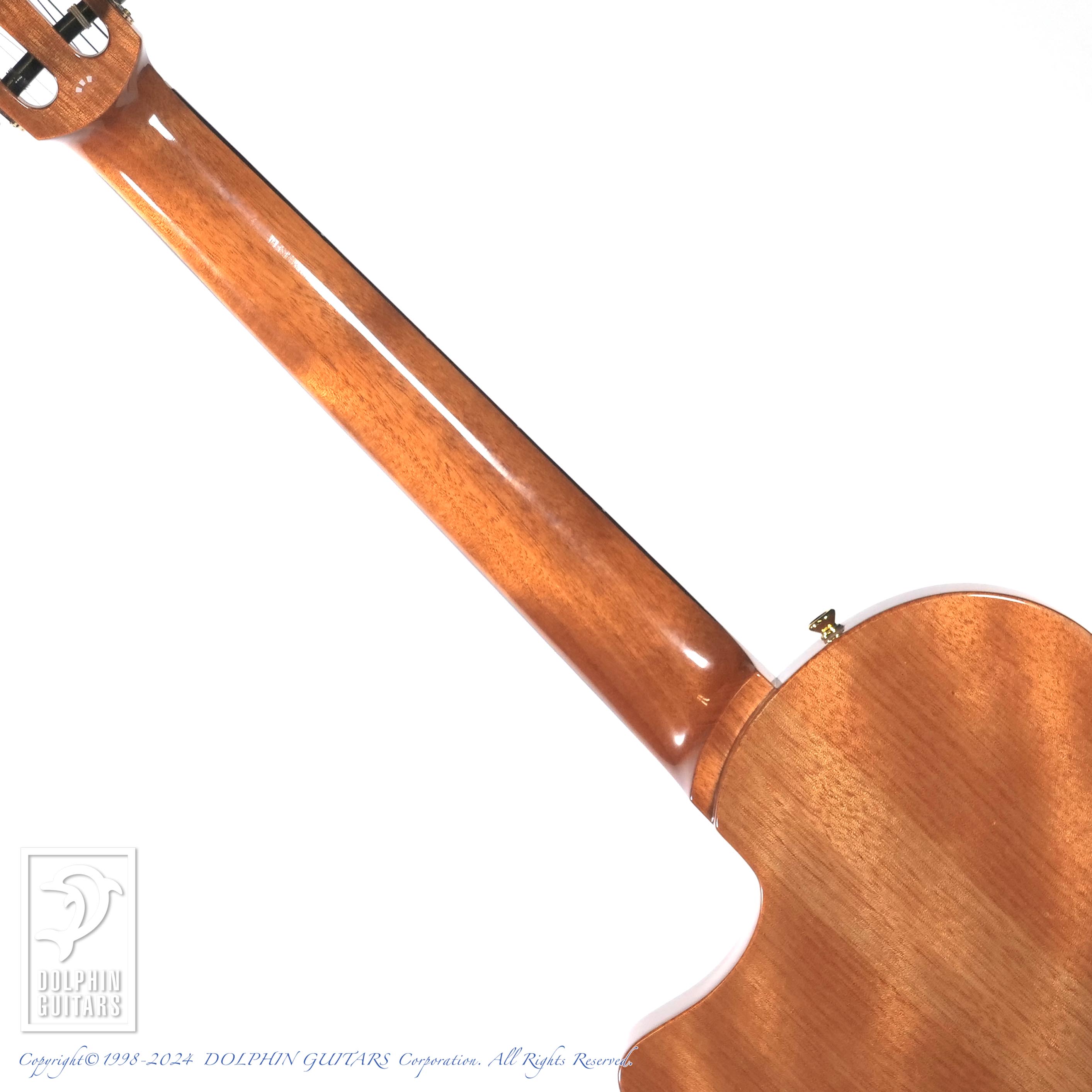 コルドバ STAGE Guitar Natural Amber Cordoba Stage Guitar -Natural Amber エレガット 【現物画像