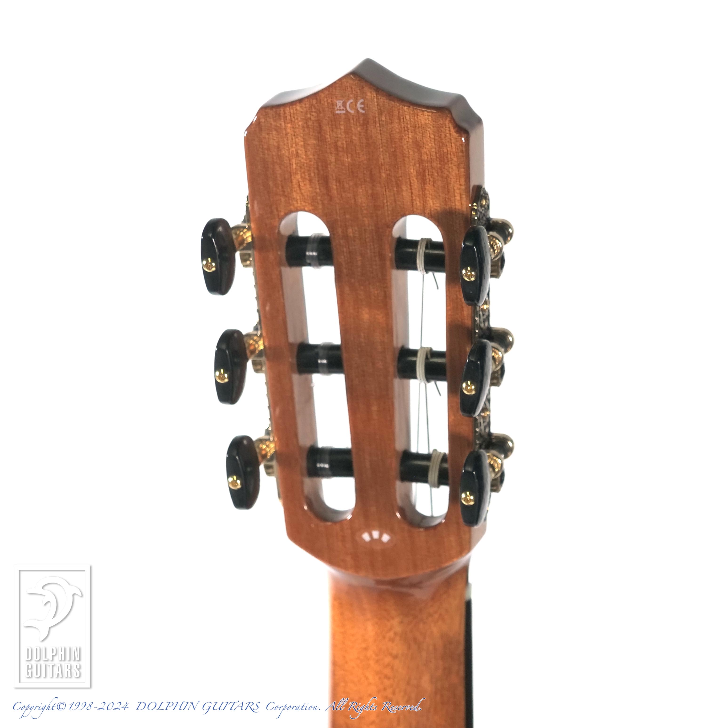 CORDOBA STAGE GUITAR (NATURAL AMBER)|ドルフィンギターズ